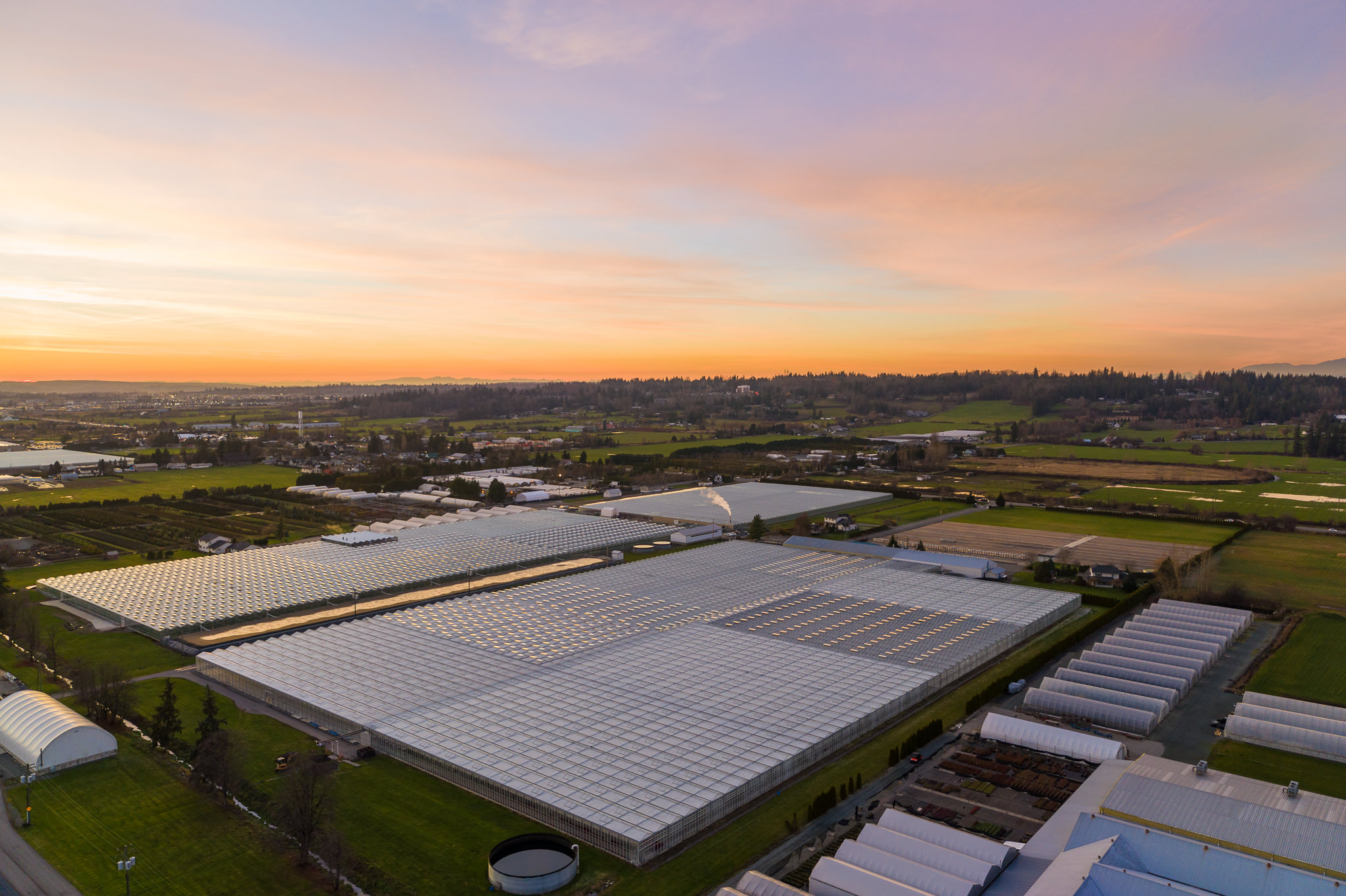 greenhouse-001-DJI_0189.jpg