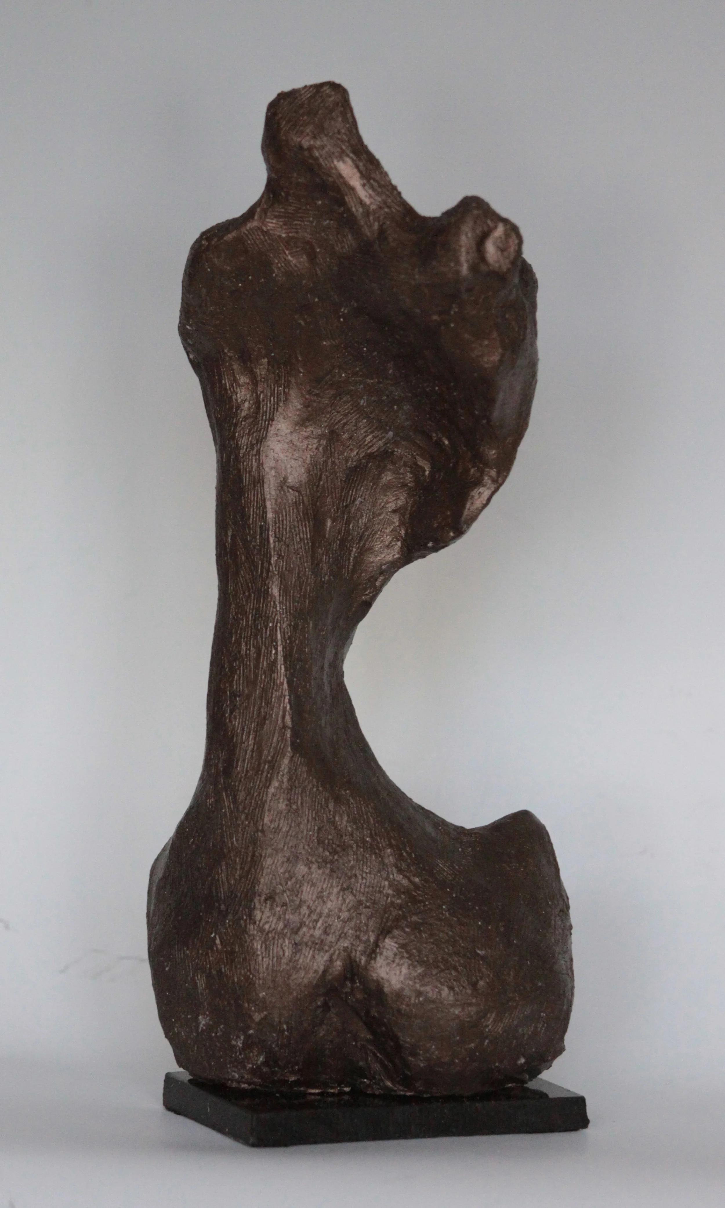 IMG_6573 TORSO.jpg