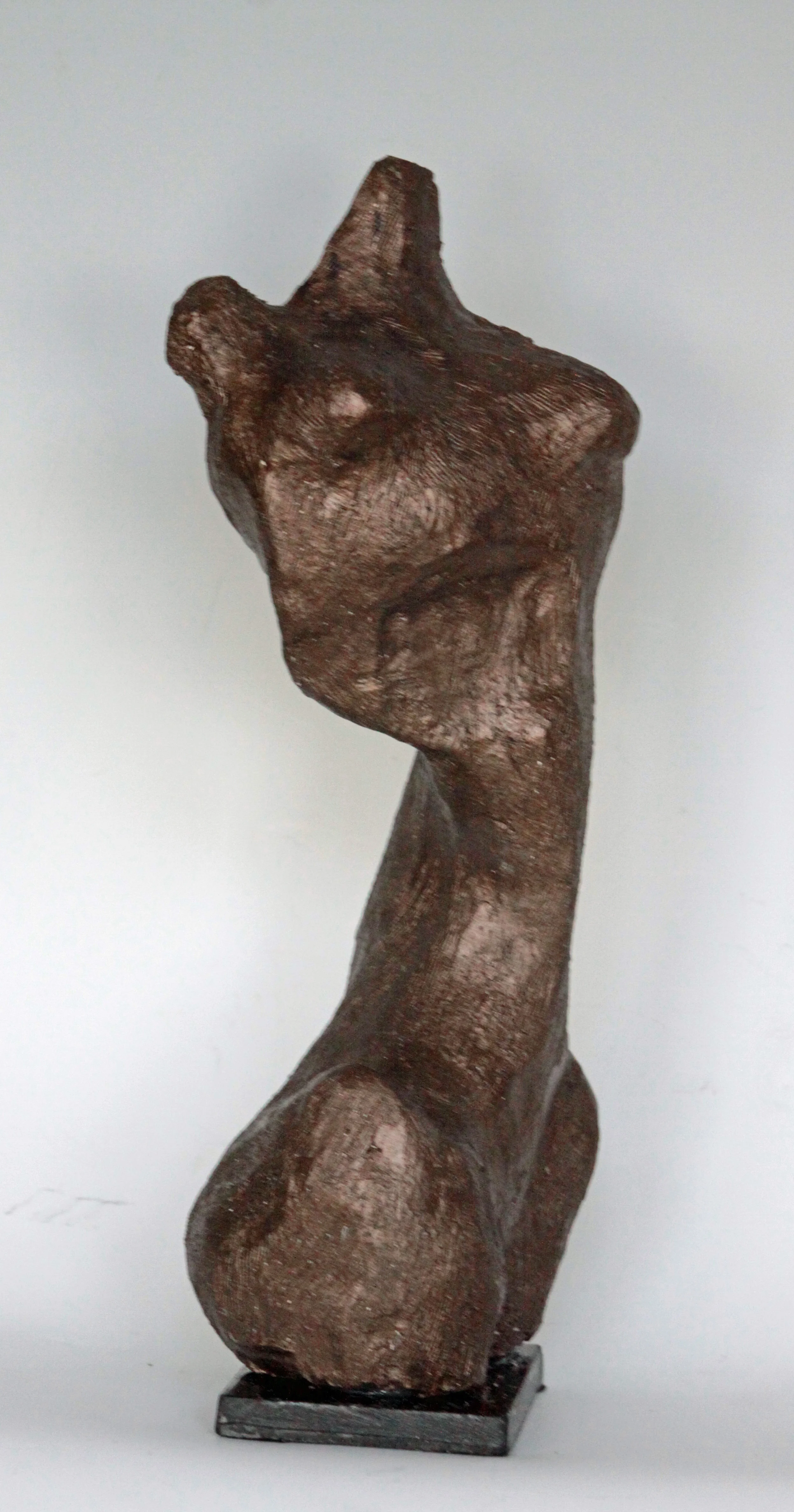 IMG_6574 TORSO.jpg