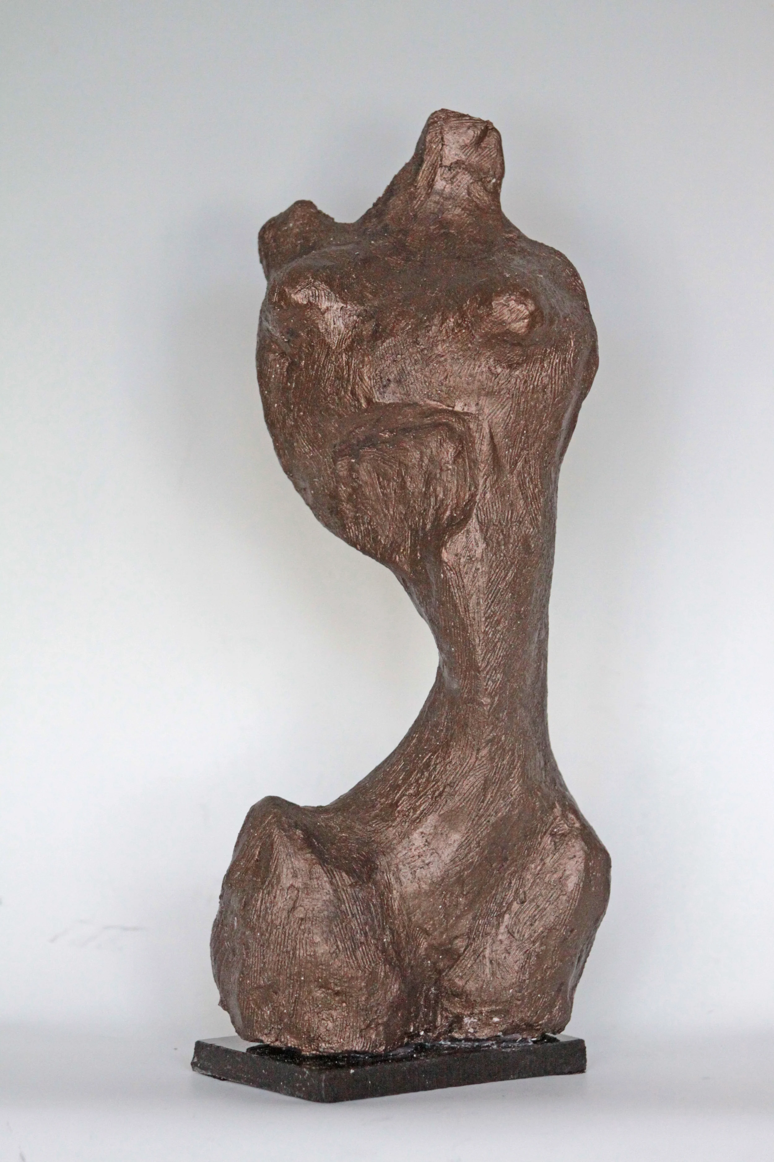 IMG_6576 TORSO.jpg