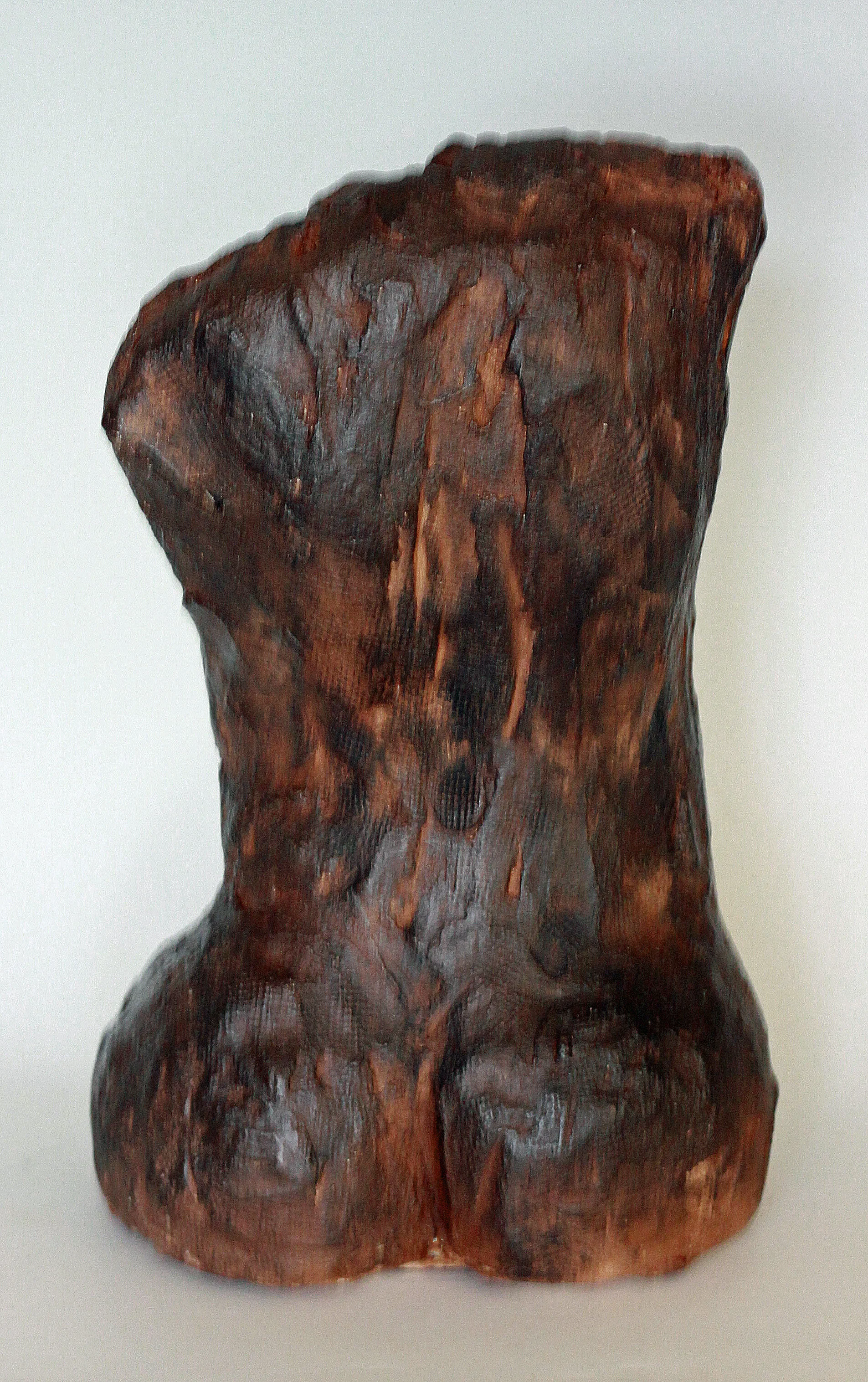 IMG_7636torso3.jpg
