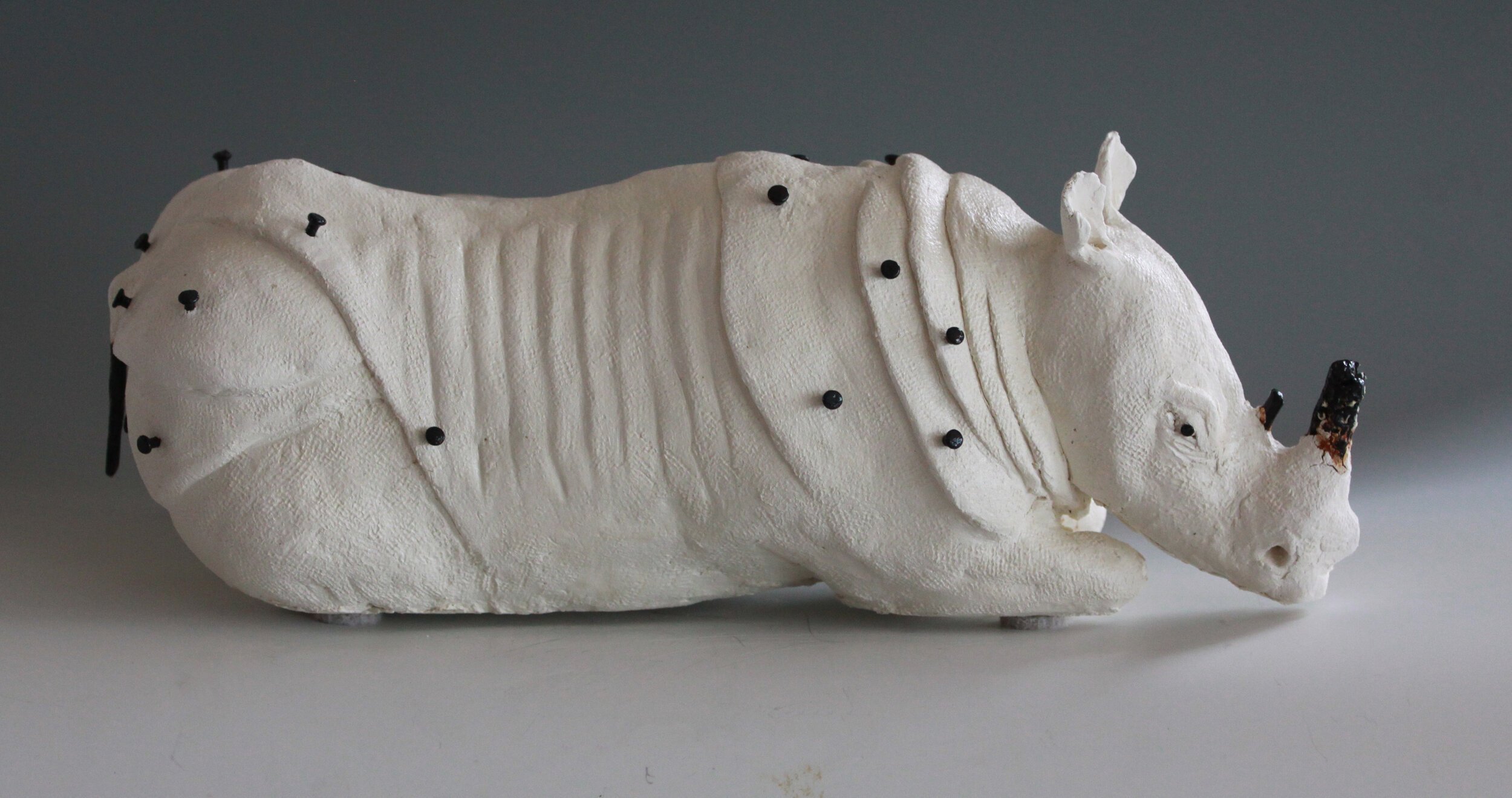 IMG_7757 white rhino 2.jpg