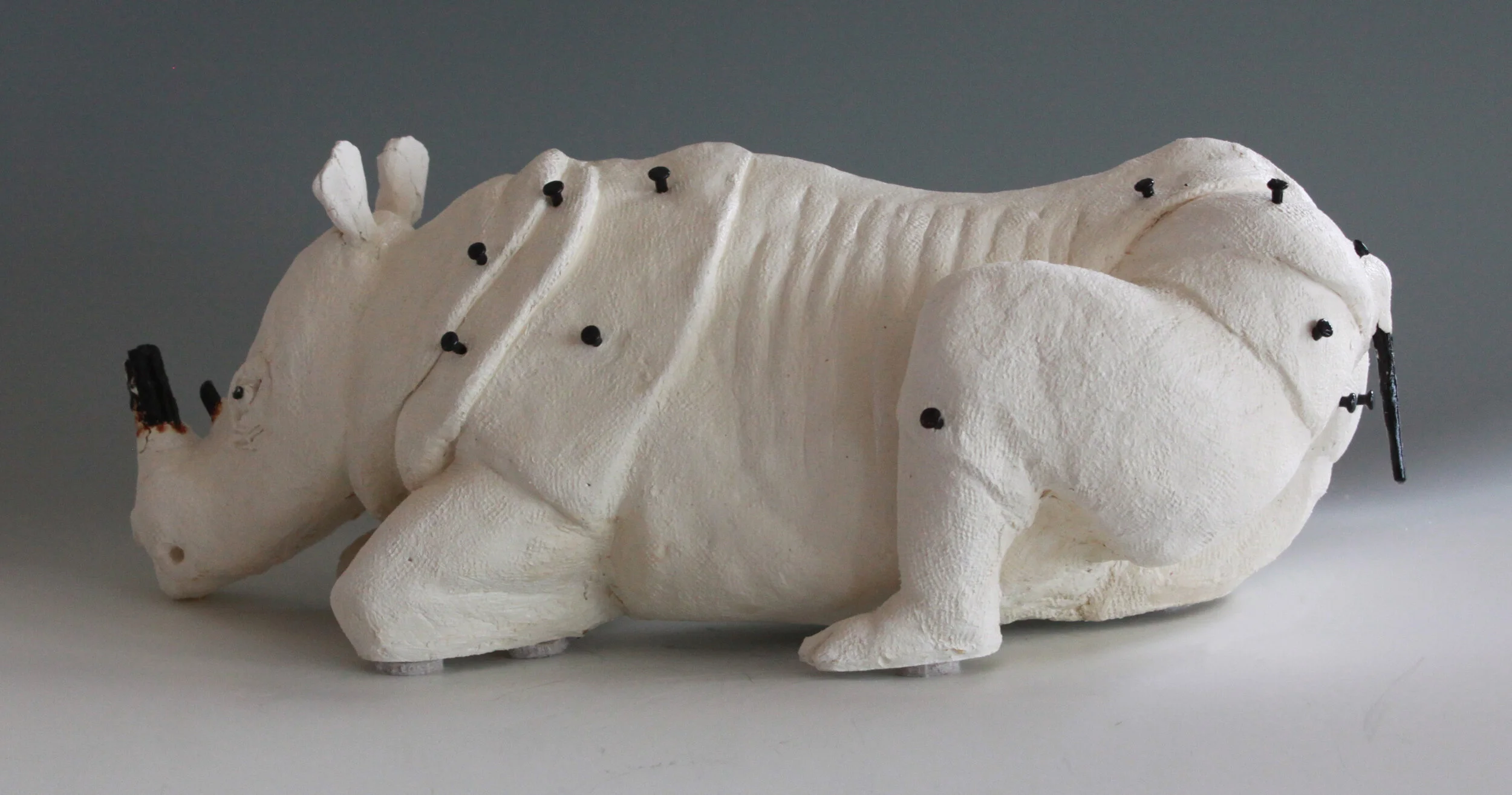 IMG_7755 white rhino 3.jpg