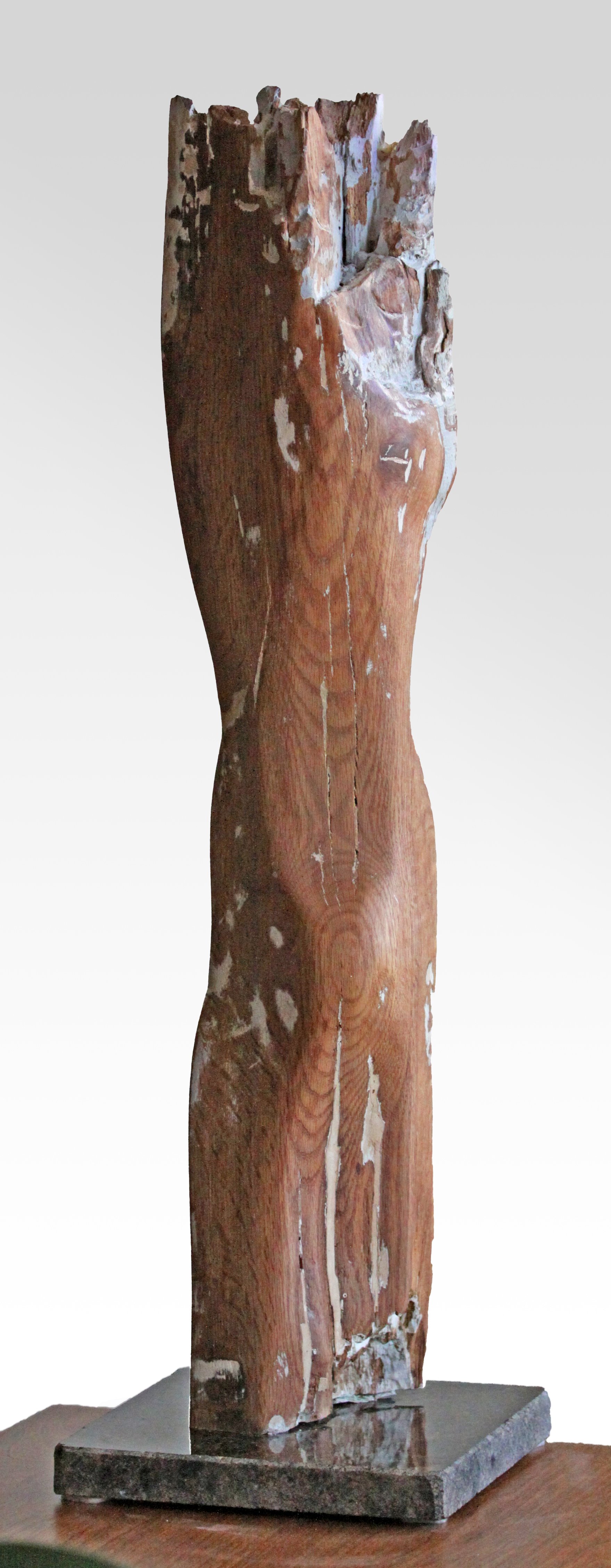 new wood torso1.jpg