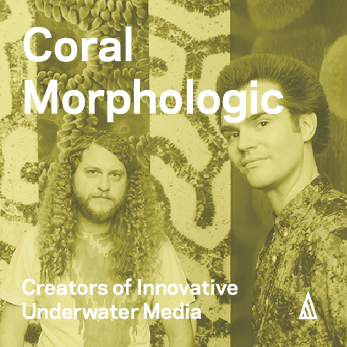 160905_Coral Morphologic-33.png