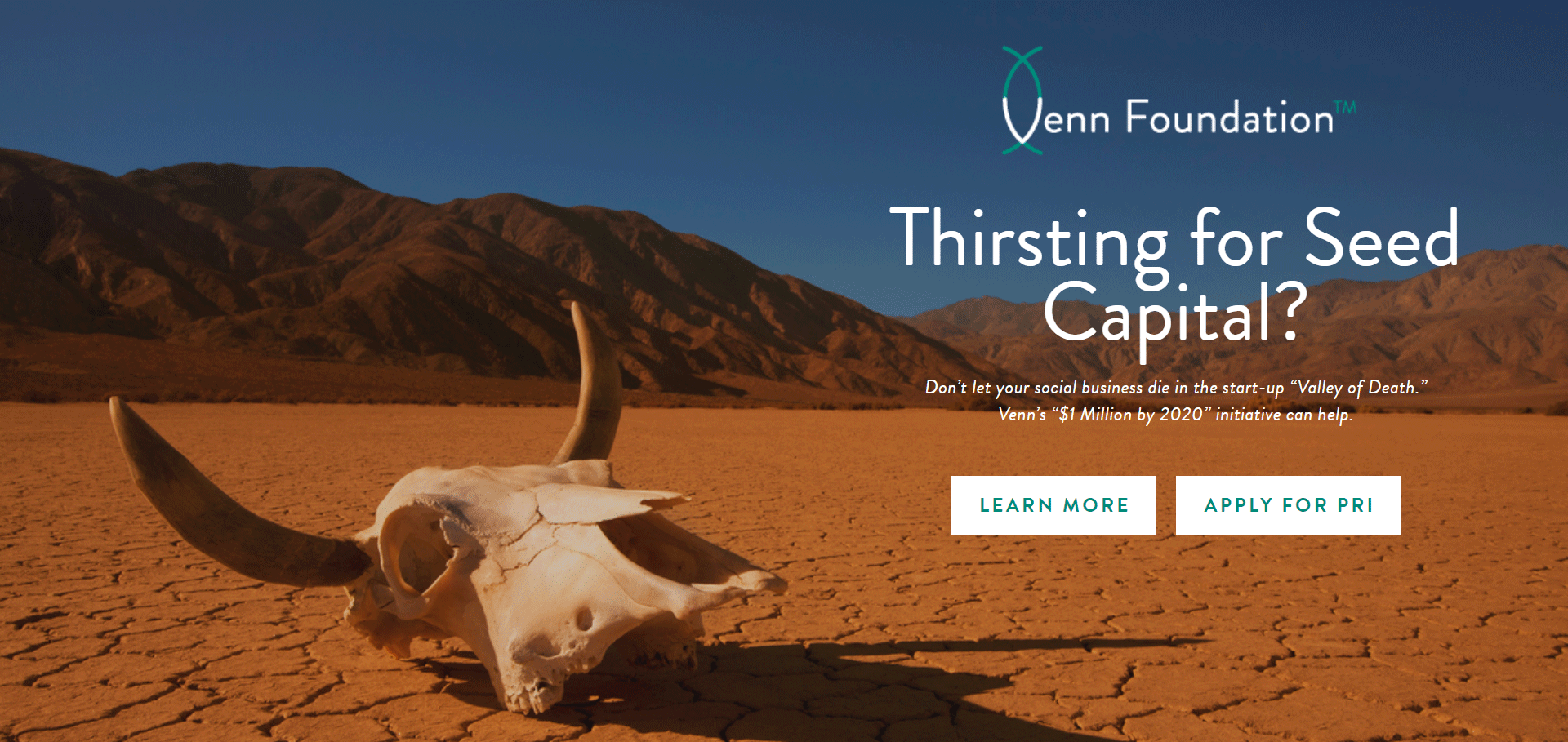 "$1 Million by 2020" Social Business Seed Capital Drive