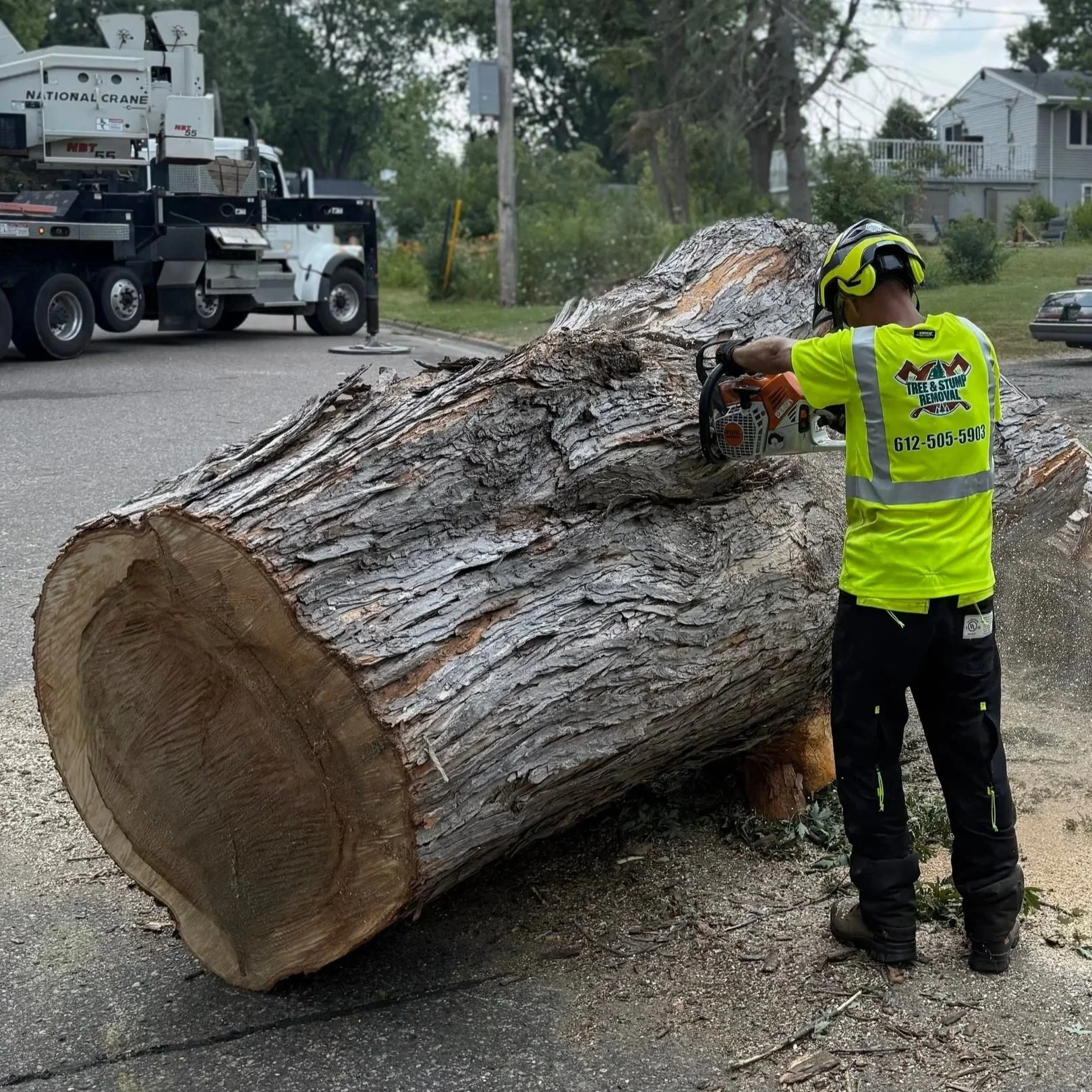 A1 Tree and Stump Removal, LLC