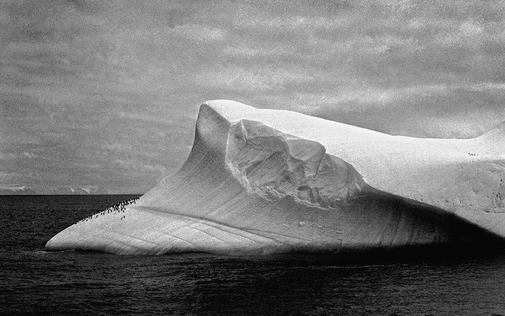ice11small res.jpg