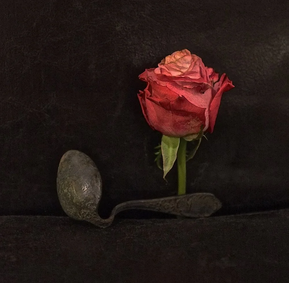 flora54.jpg