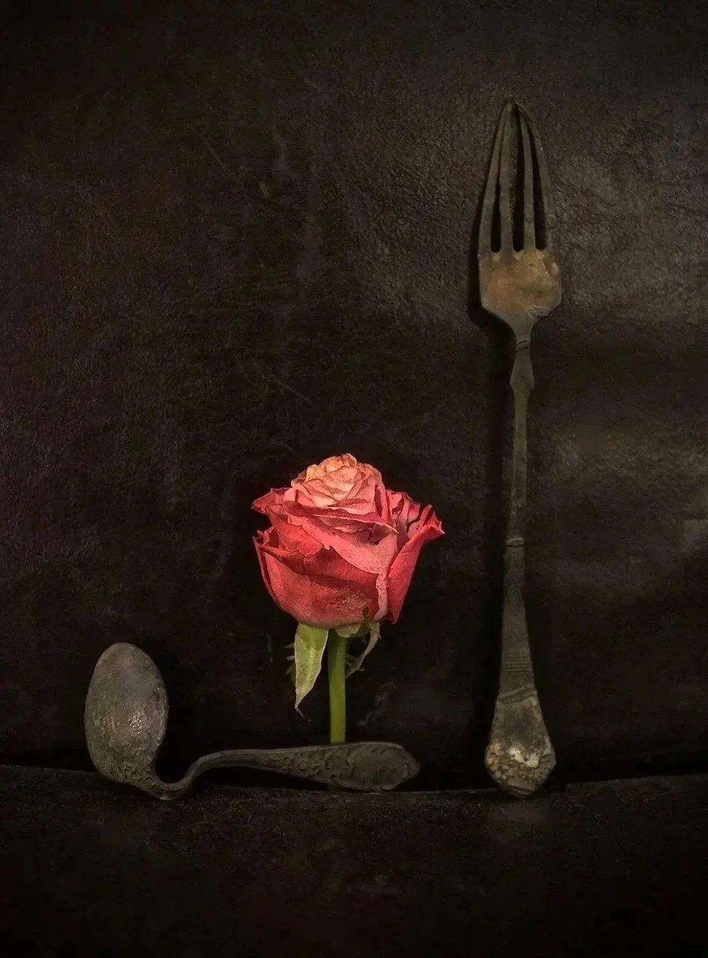 image-asset.jpg