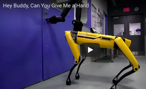 Robots to the rescue!