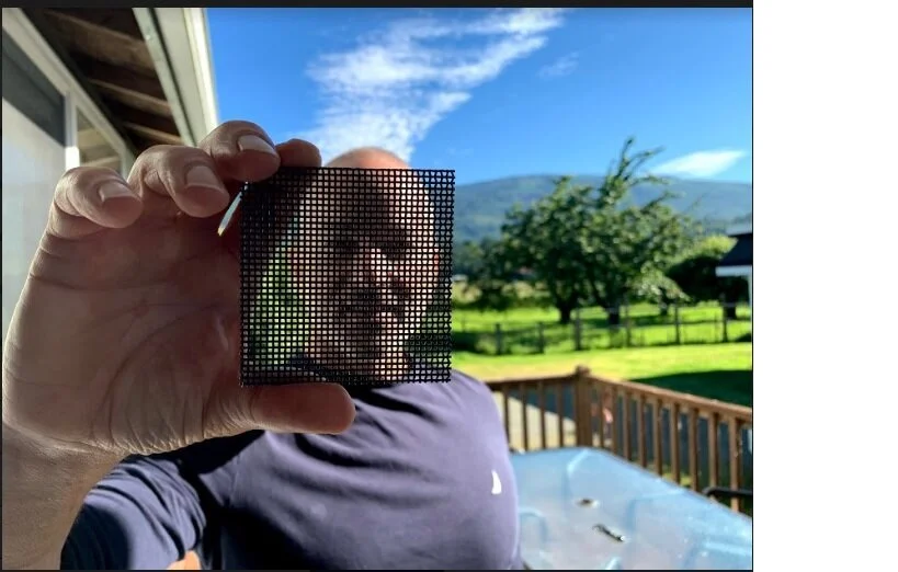 Everything You Need to Know About Window Security Screens