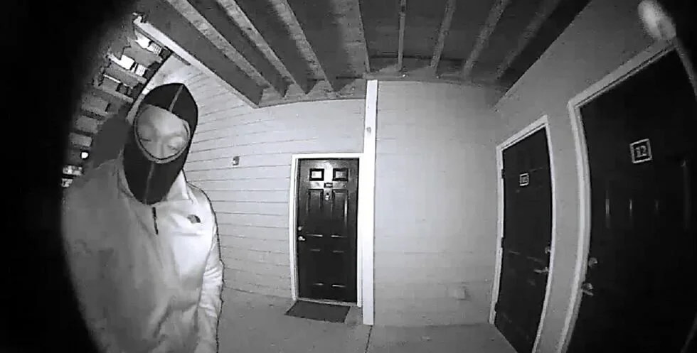 Thinking of Getting Security Cameras?