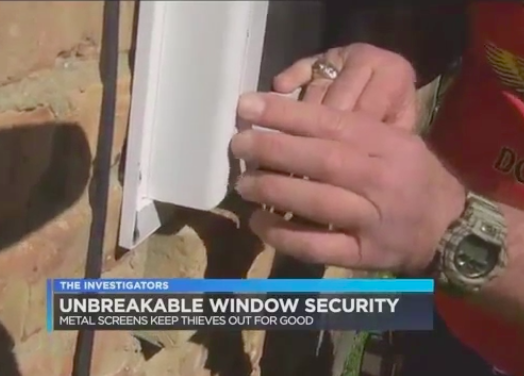Security Window Screens Stopped This Intruder [TRUE STORY]
