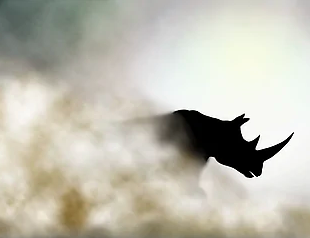 The Grey Rhino