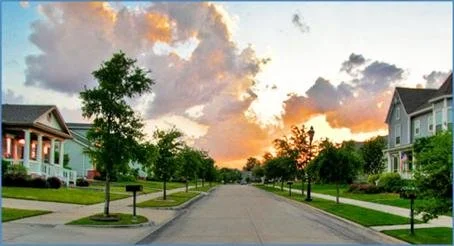 Landscaping for Security