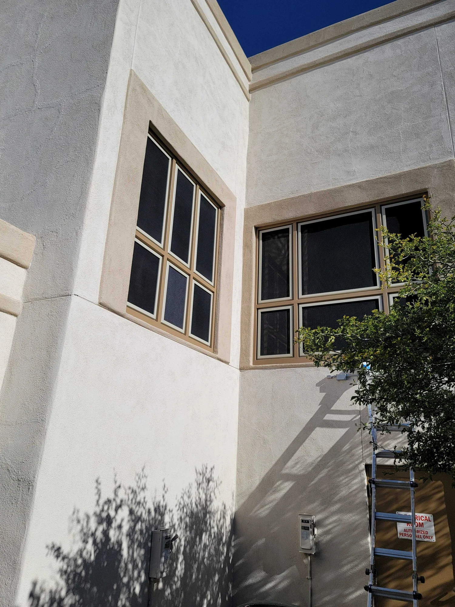 20220120_104225.JPG