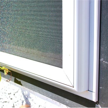 Windows4.jpg (Copy)