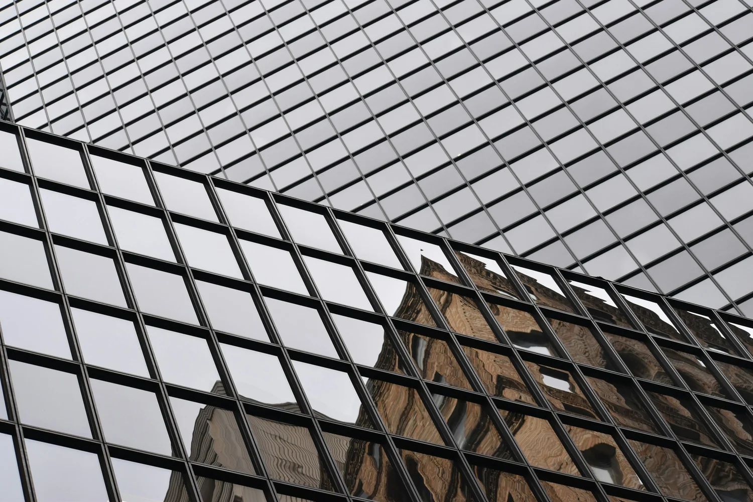 wire mesh