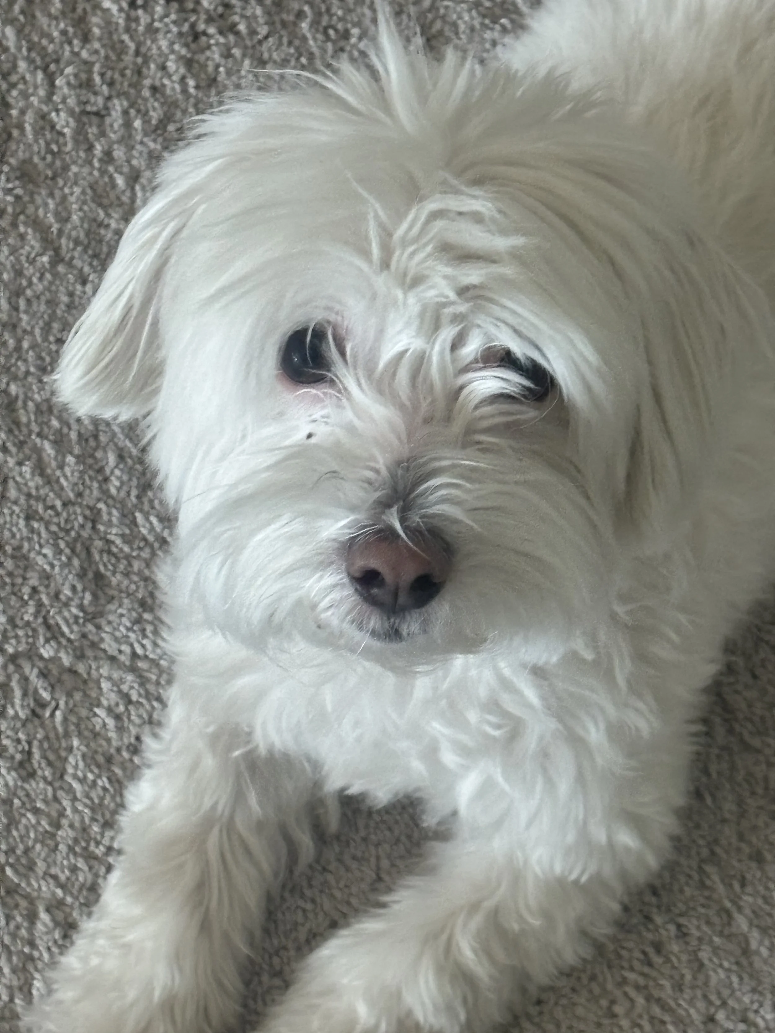 Your First Line of Defense!