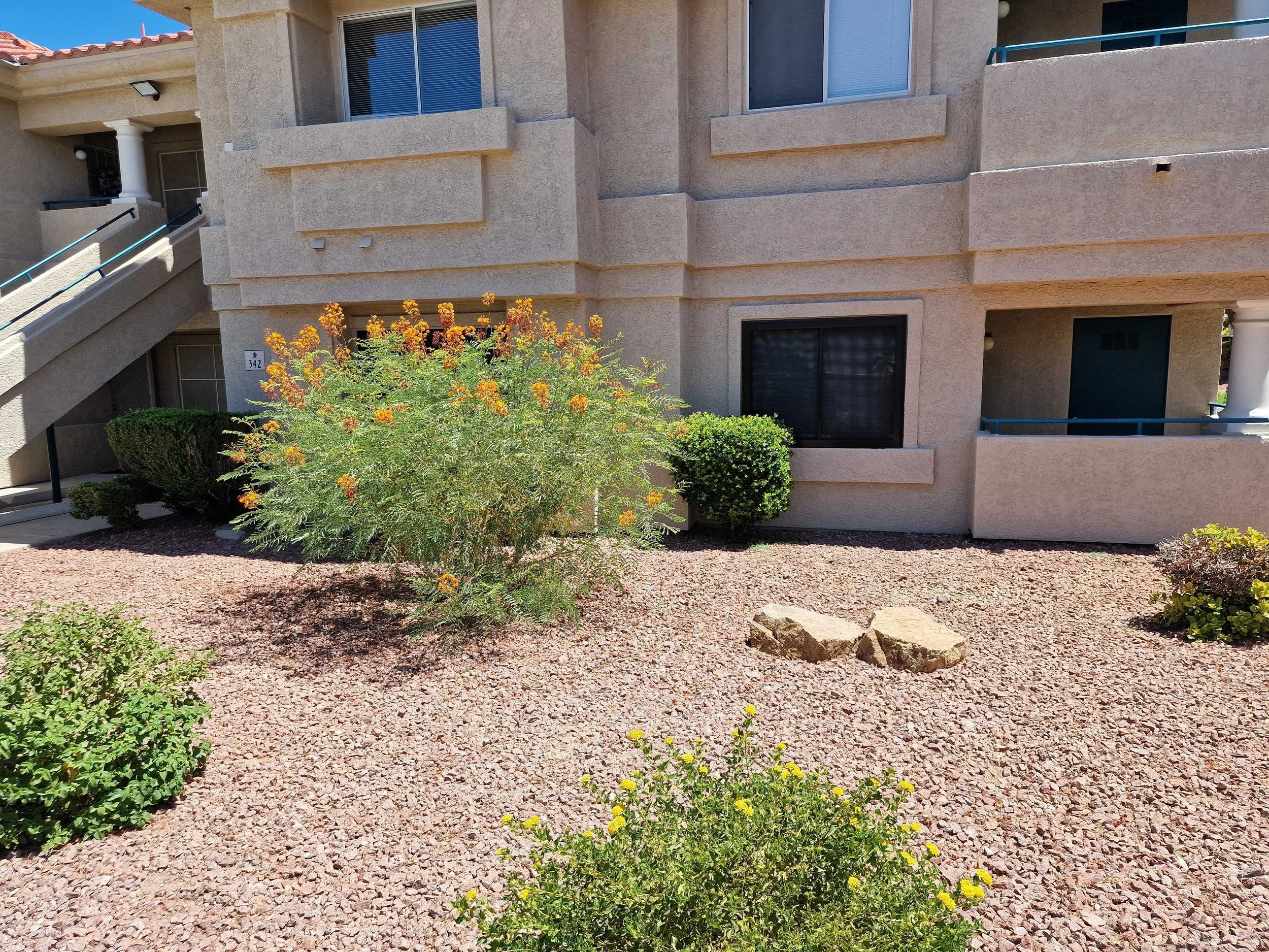 Arizona's Scorpion Season Came Early This Year — And Monsoon Season Could Make It Worse