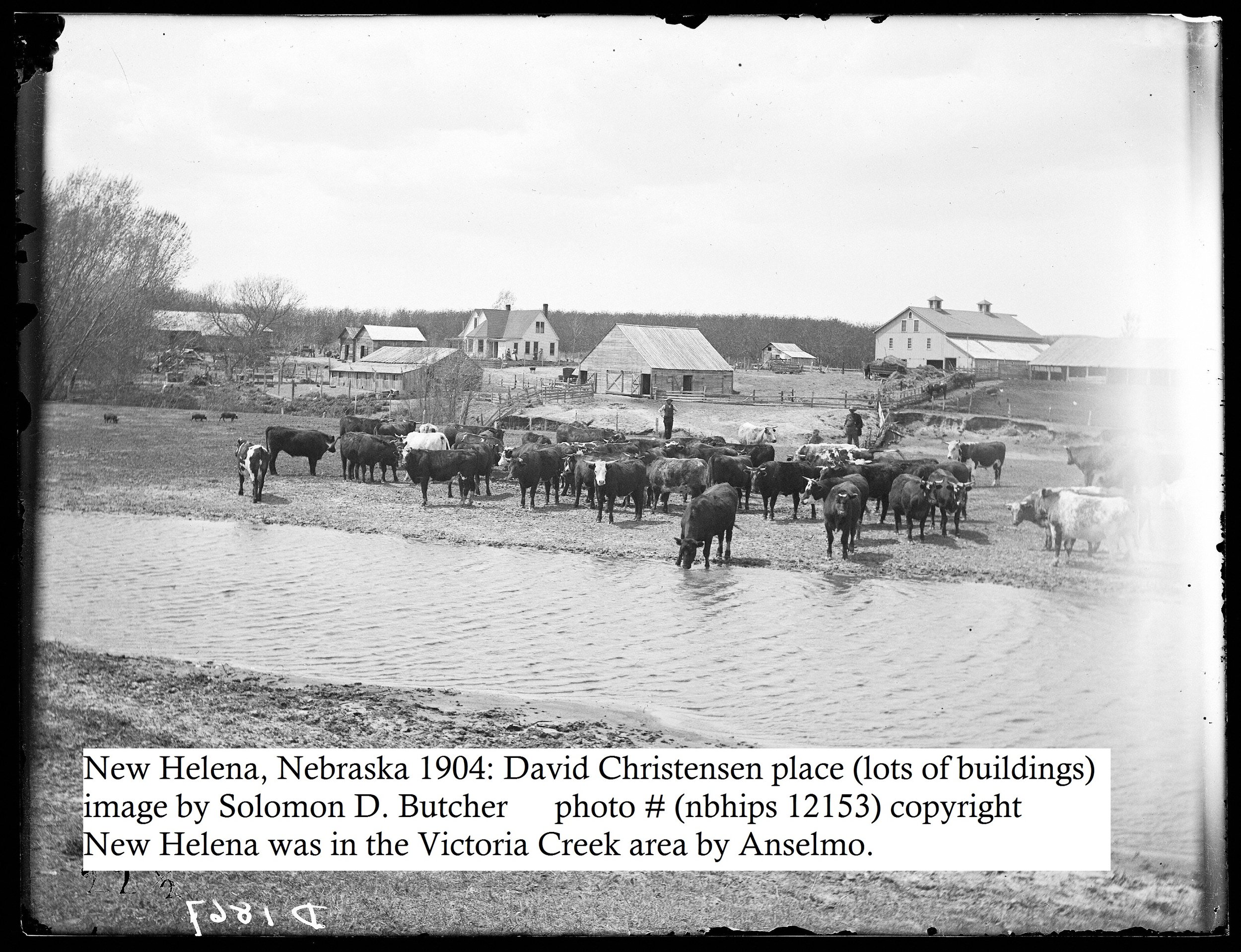 23 Butcher- New Helena- David Christensen place- 1904- 12153v.jpg