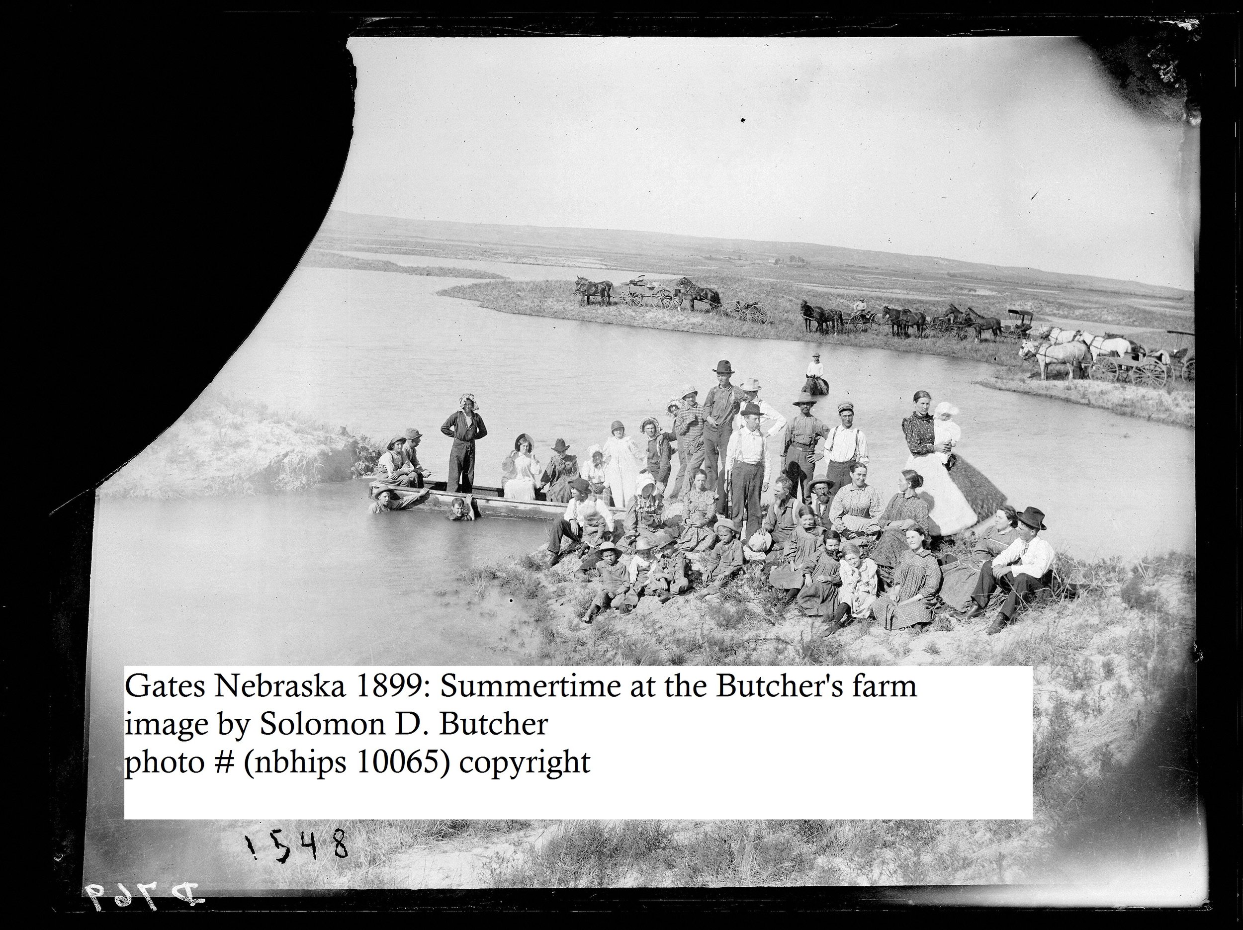 23 Butcher- Gates- Summertime at the S.D. Butcher farm- 1899- 10065v.jpg