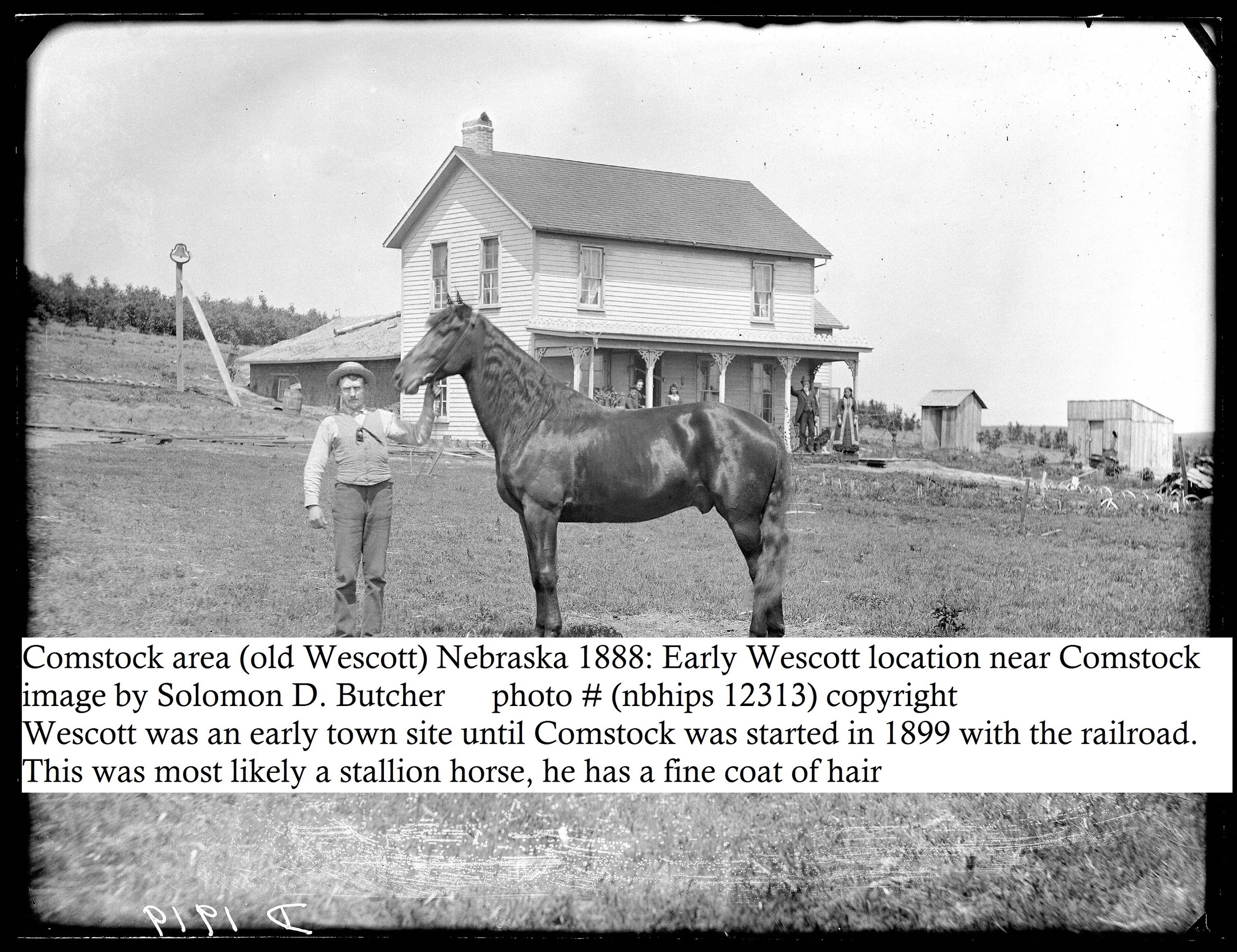 23 Butcher- Comstock area (old Wescott)- old town area - 1888- 12313v.jpg