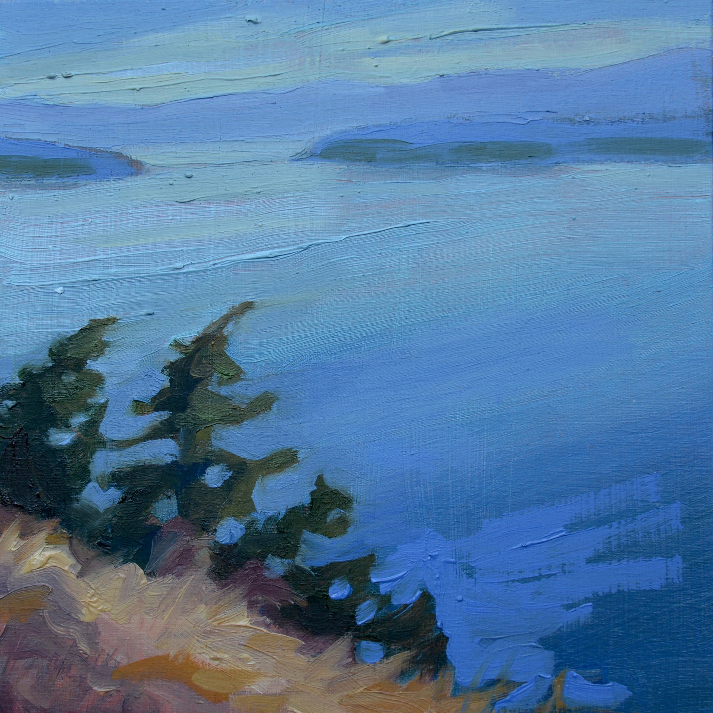 LOOKING at SALTSPRING ISLAND