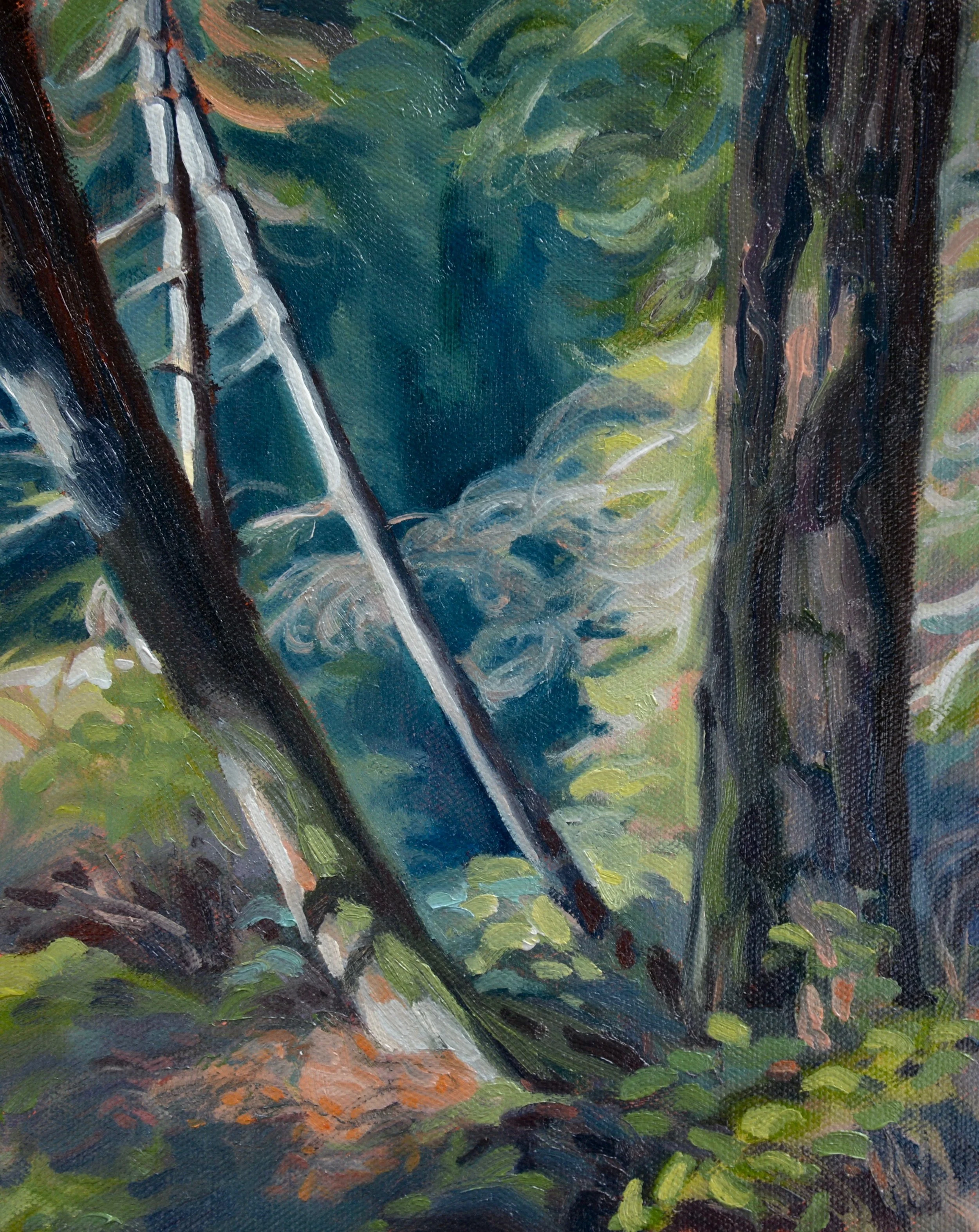 EDGE of the CANYON
