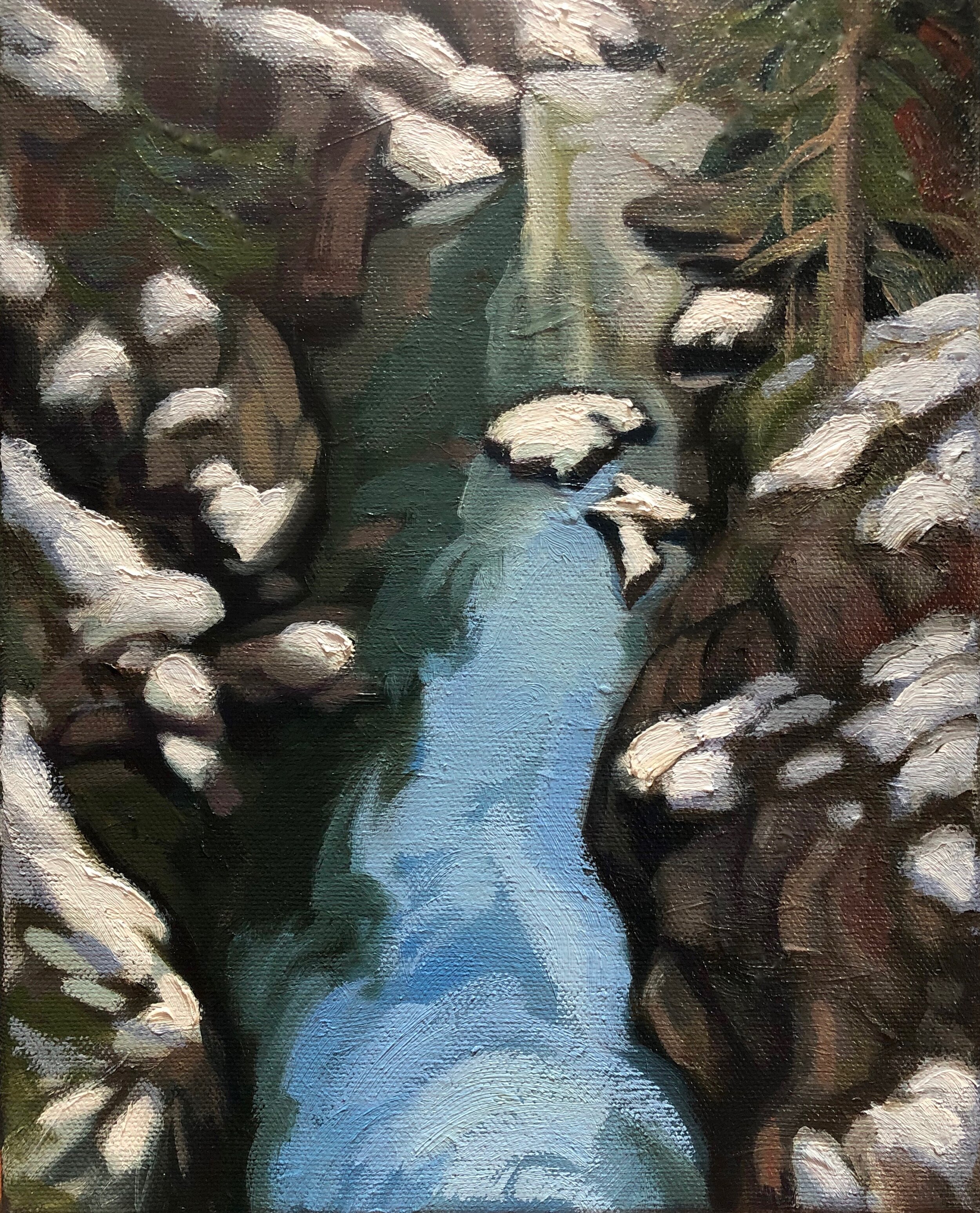 SNOW in the CANYON