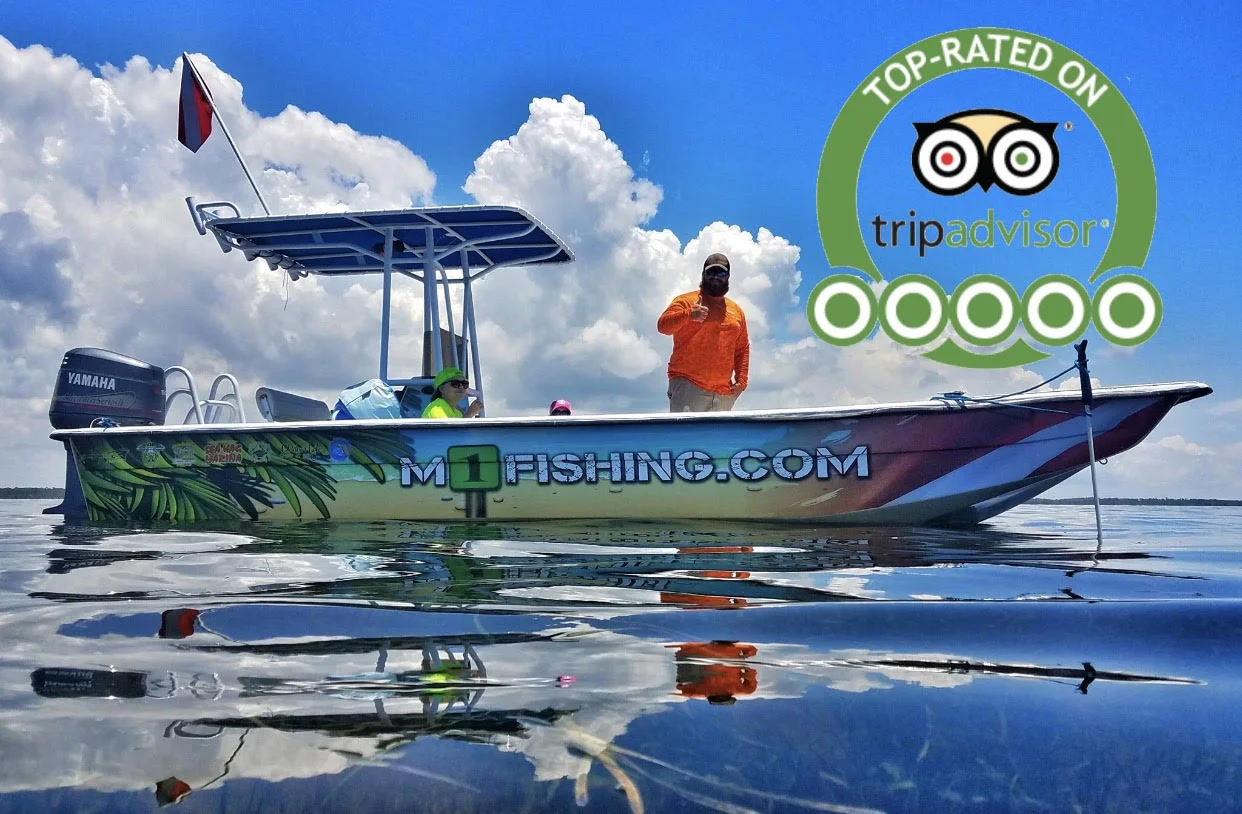 goodboat.jpg