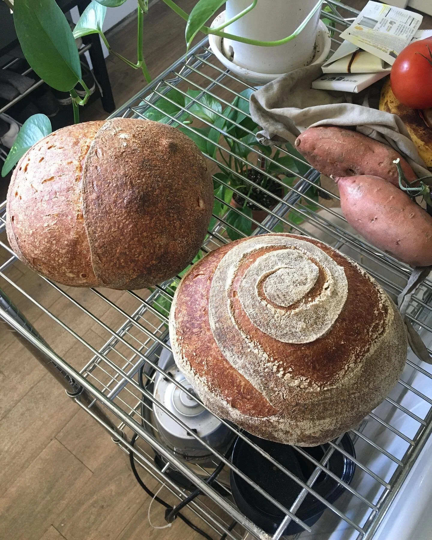 Happy 420 #wakeandbake