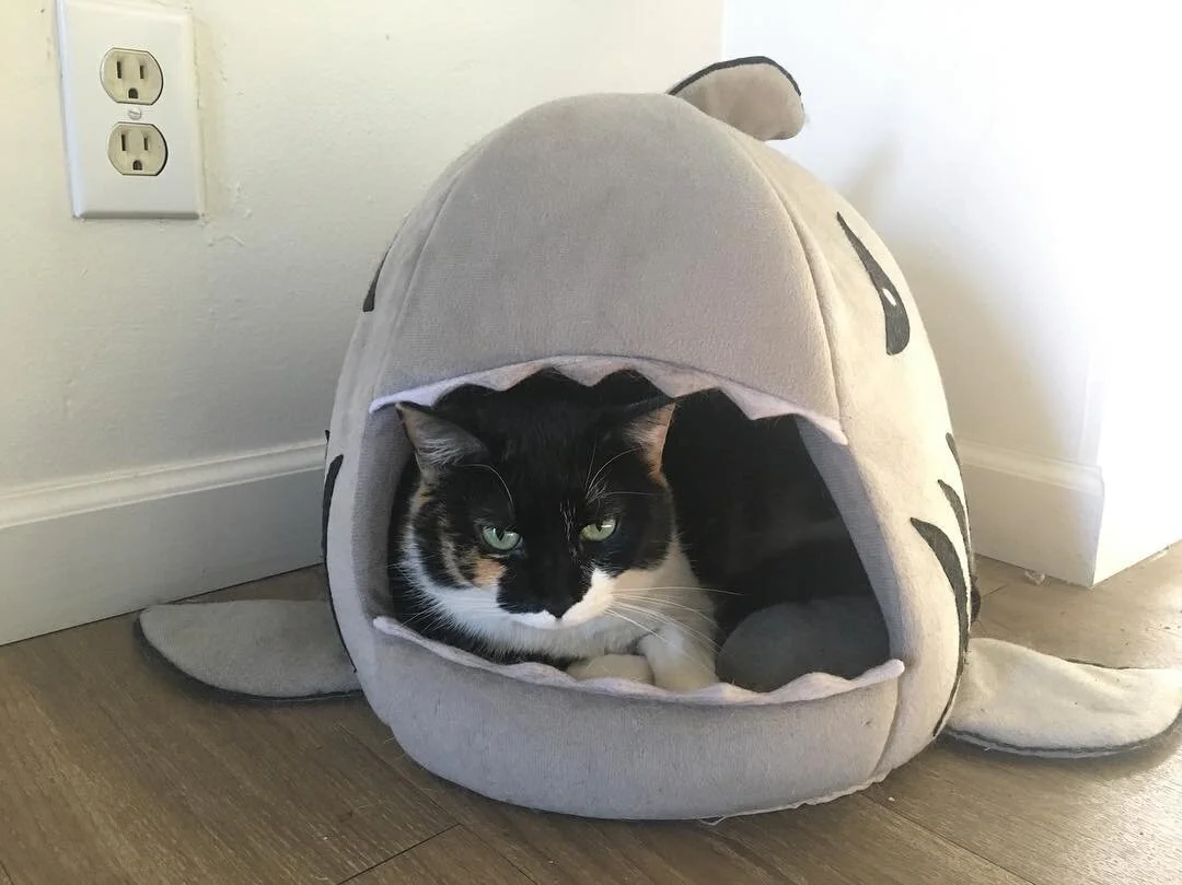 Another day at the office