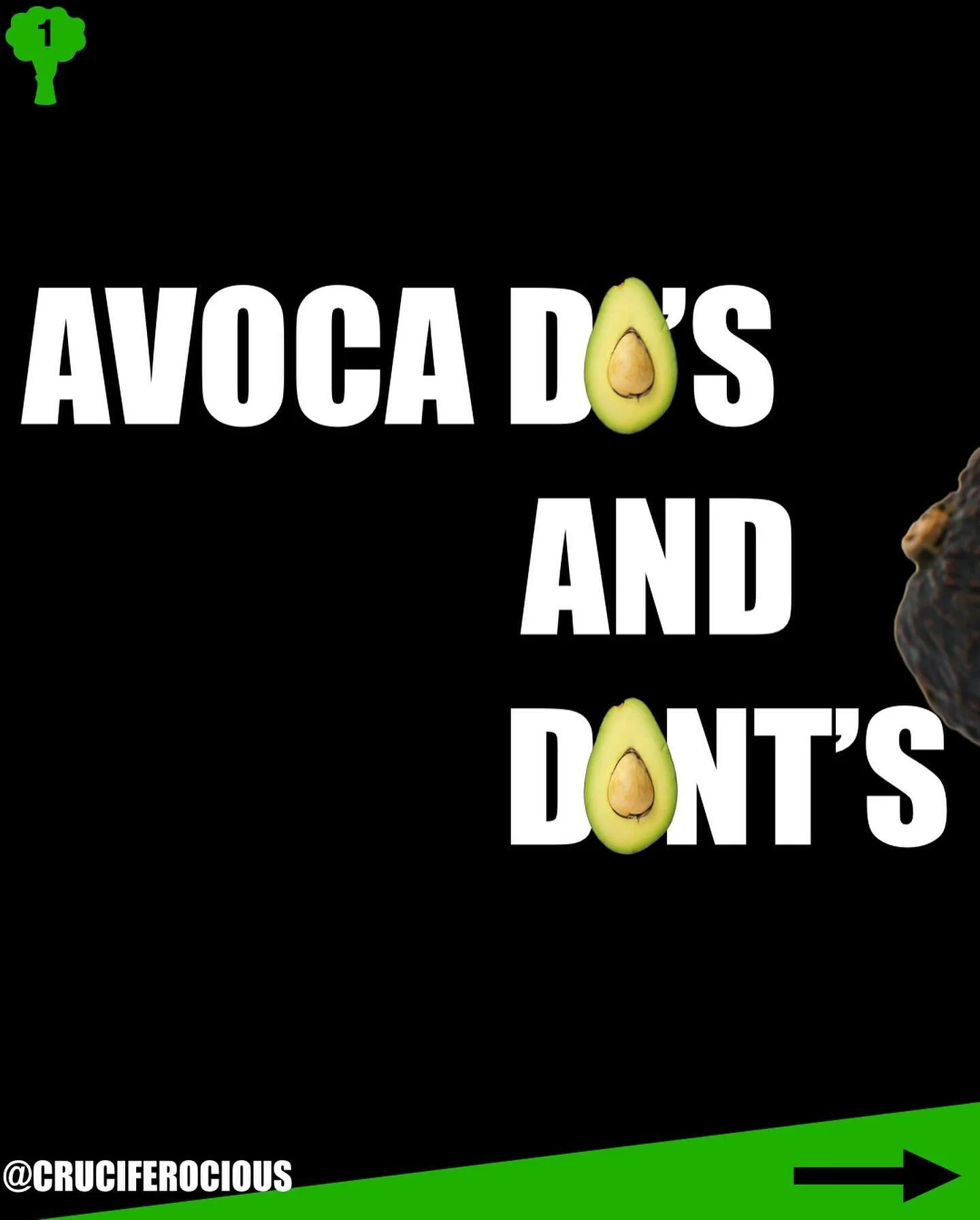 Did you know some people used to call avocados &ldquo;alligator pears?&rdquo; Pretty scary huh? 
Not as scary as missing out on al the goodness inside these berries. That&rsquo;s right, berries. Y&rsquo;all already know berries are the JAM. 
What&rsq