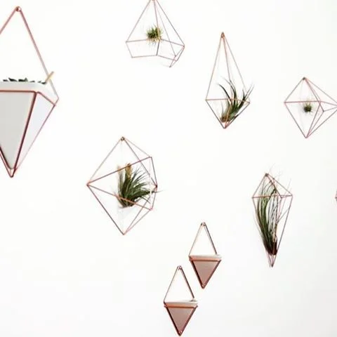 Pinterest worthy DIY featuring TRIGG wall planter and PRISMA decor. Thanks for sharing @kindofstephen. #umbra #myumbra #homedecor #interiors #airplants #decordiy
