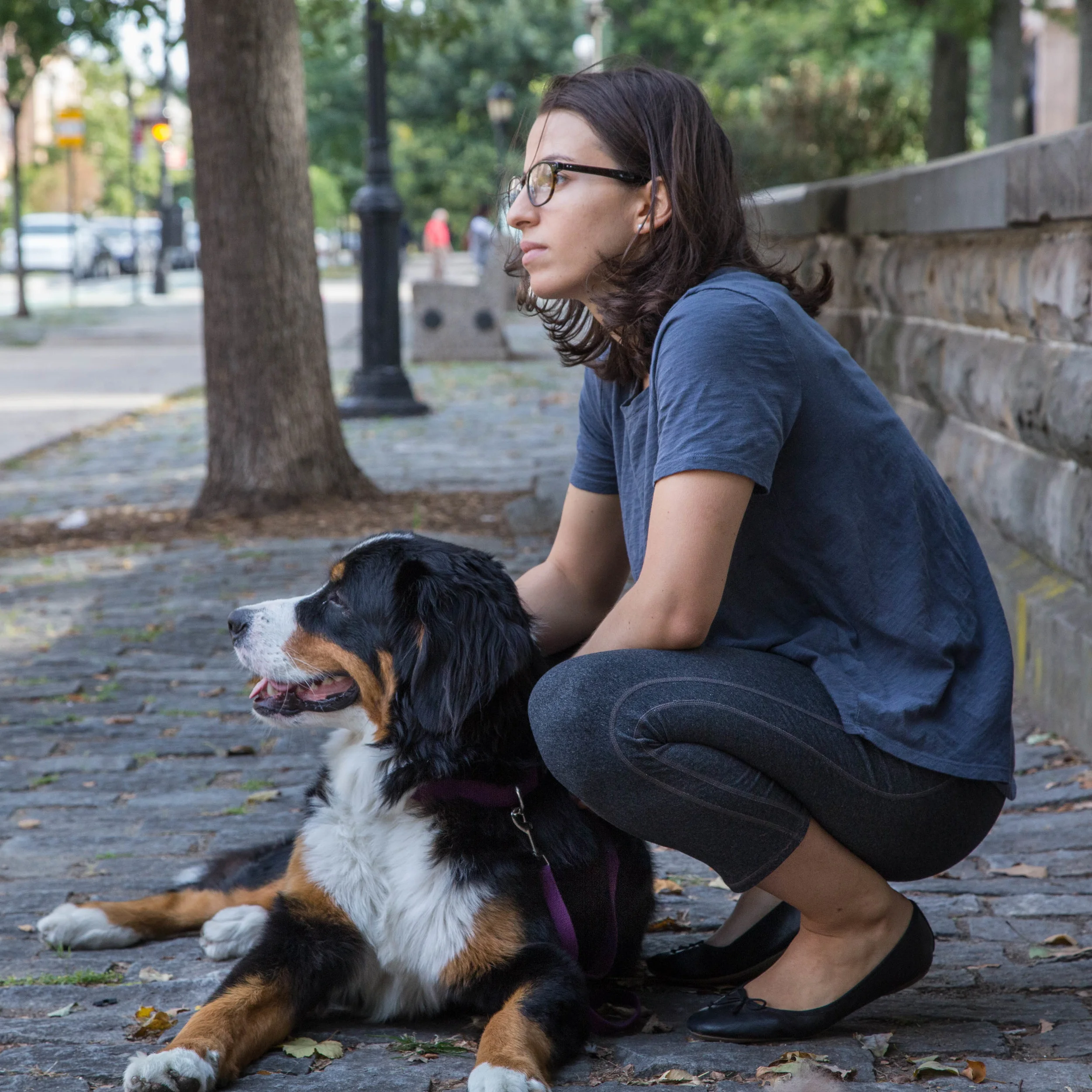 Olive & Anya - DogStar.jpg
