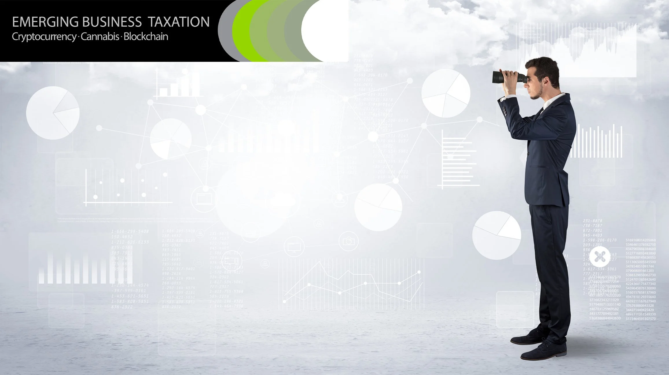 Emerging Business Tax WebPage Banner.jpg