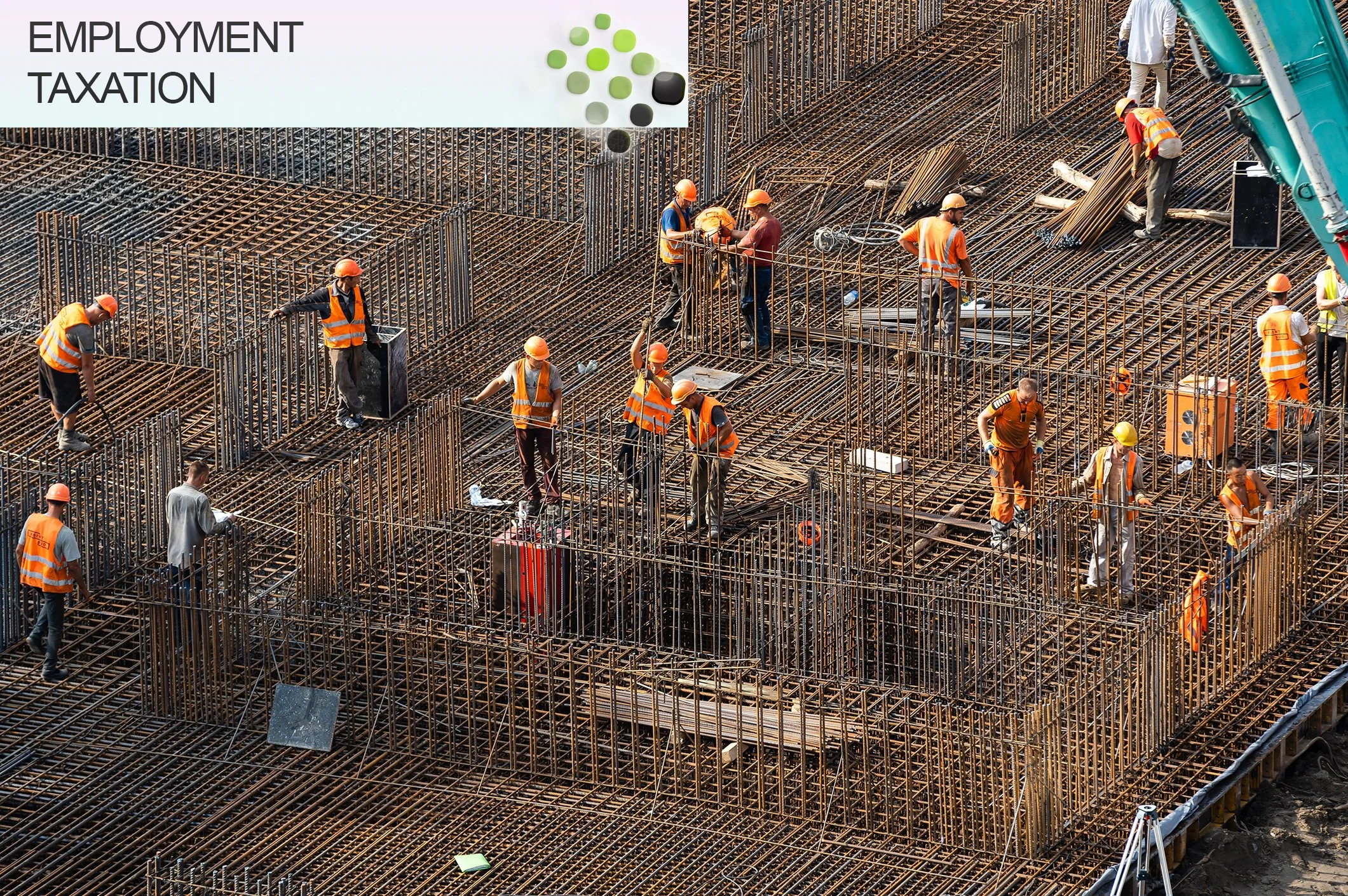 Employment Taxation banner v2.jpg