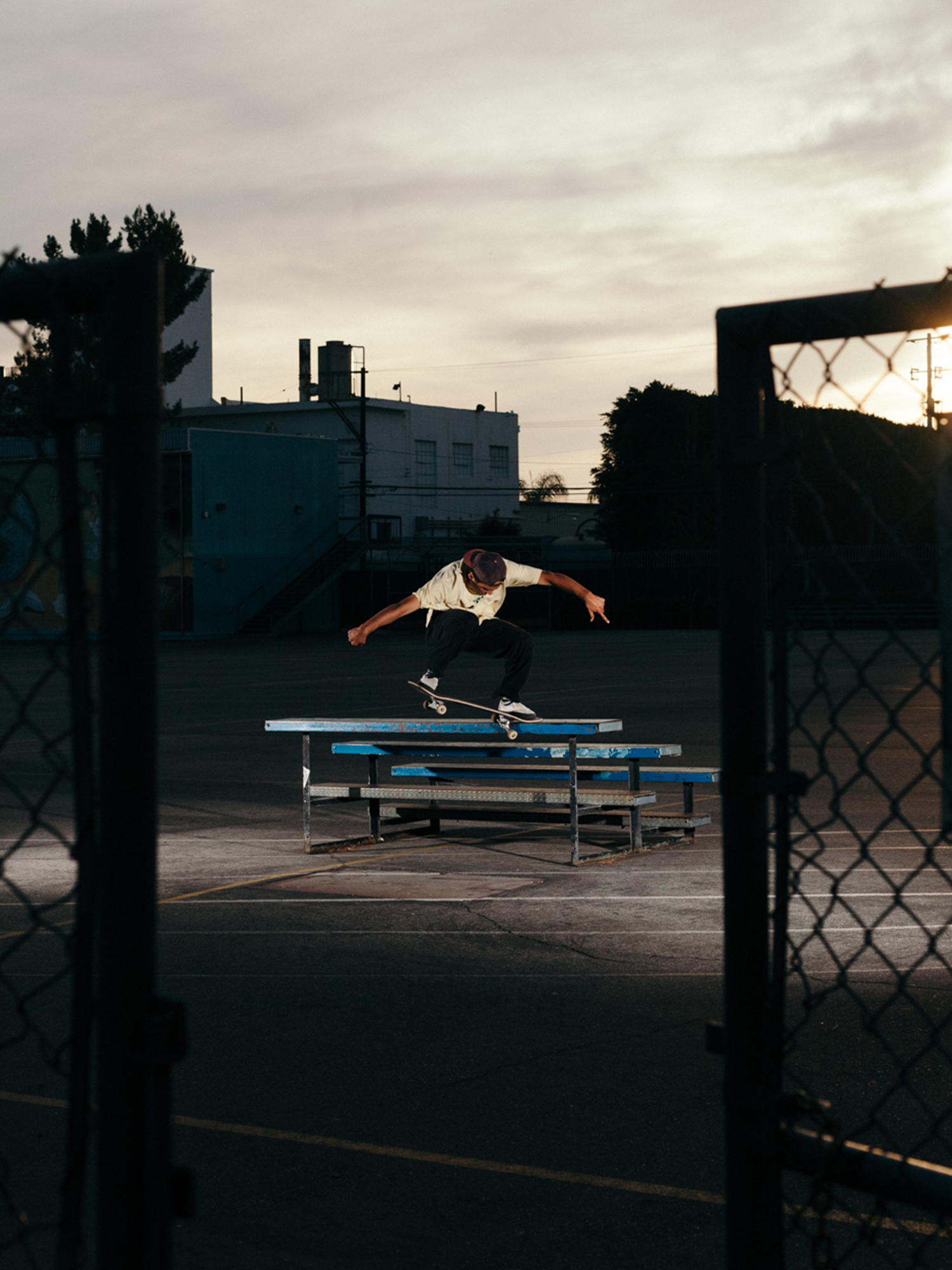 David, krook.