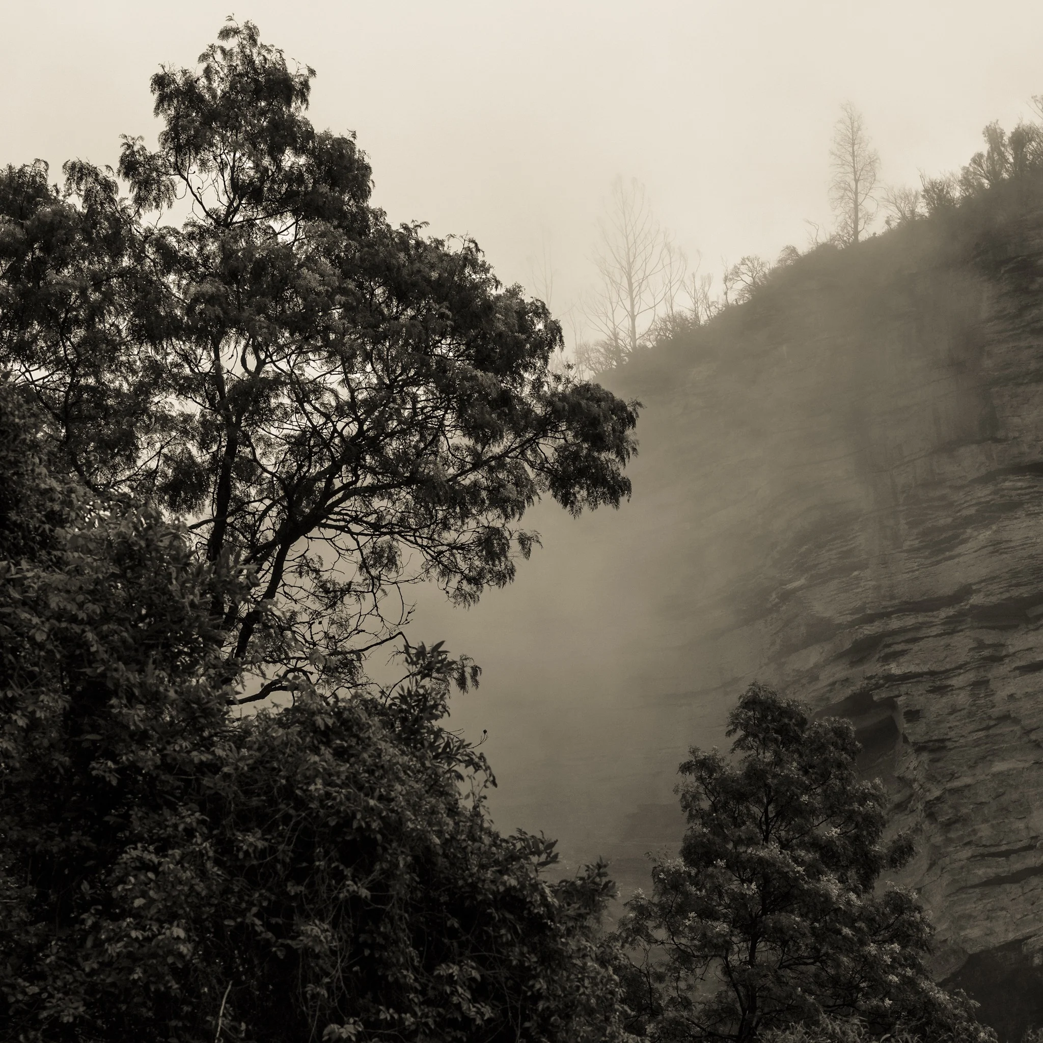      

 
   "Once photography gets into your bloodstream it is like a disease."      - unknown 
 






















    










































  

    
  
     

      

      
         
          
        
        

        
