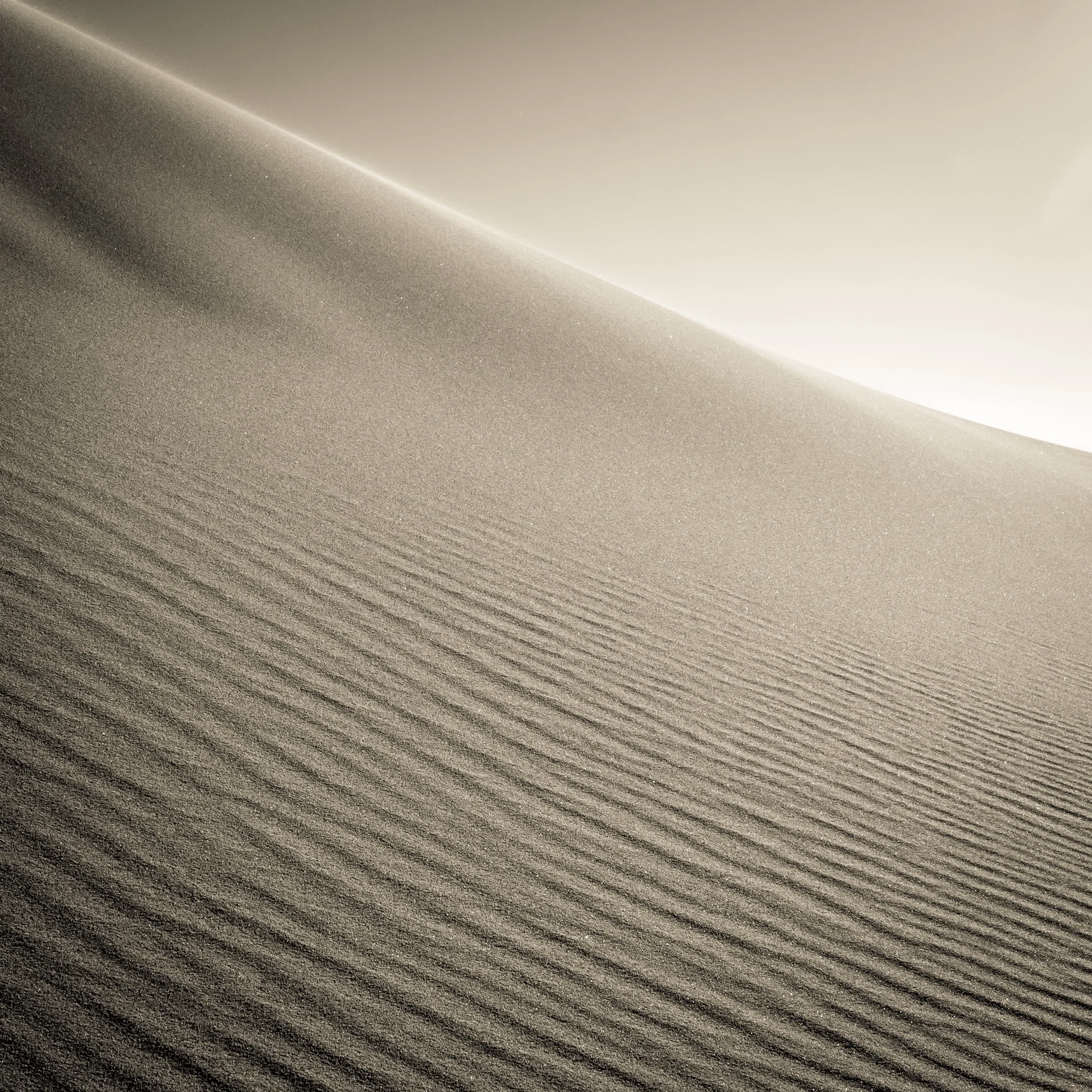      





















 
   
     “ Asked how he achieves extraordinary effects of light and color he explains. “I wait. ” 
   
   &mdash; Jay Maisel 
 
    










































  

    
  
     

      

      
         
  