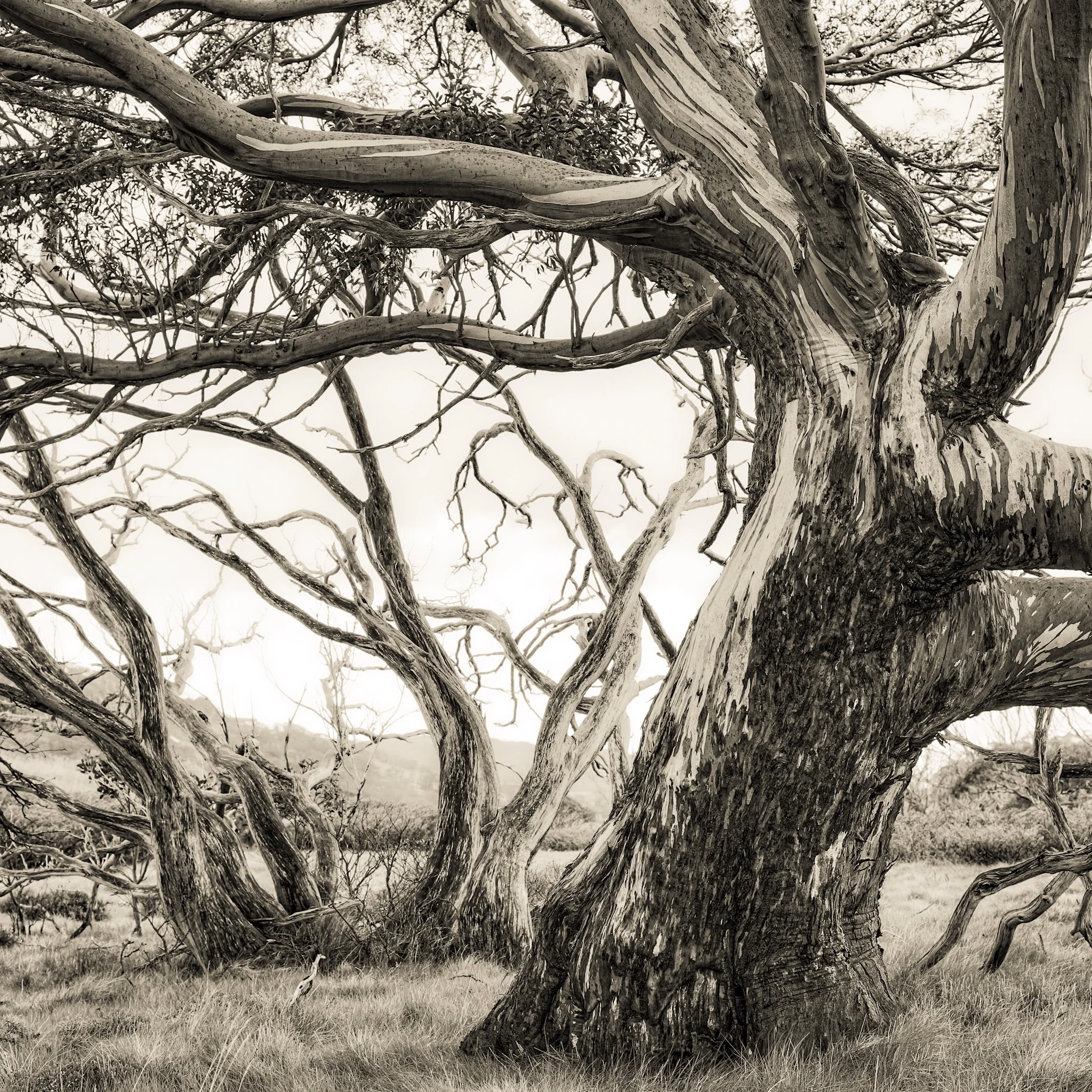      

 
    "The earth has music for those who  listen."     ~ George Santayana 
 






















    










































  

    
  
     

      

      
         
          
        
        

        
          
   