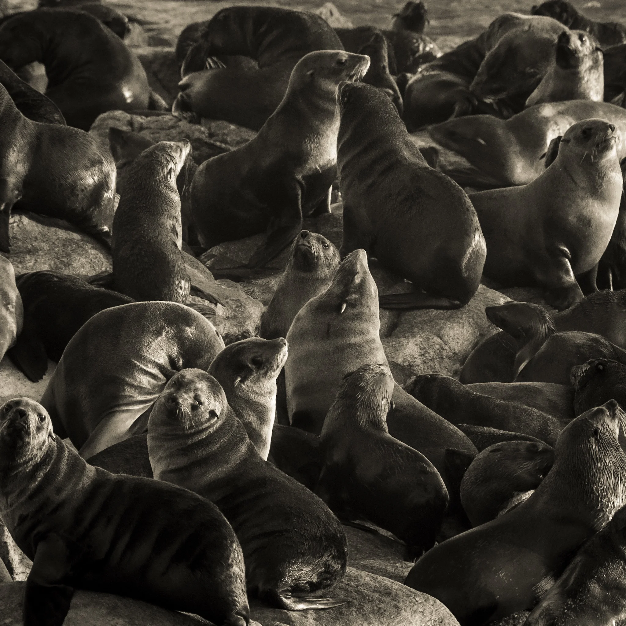      





















 
   
     “ Everybody should have one great teacher in his or her life. ” 
   
   &mdash; Jay Maisel 
 
    










































  

    
  
     

      

      
         
          
        
       