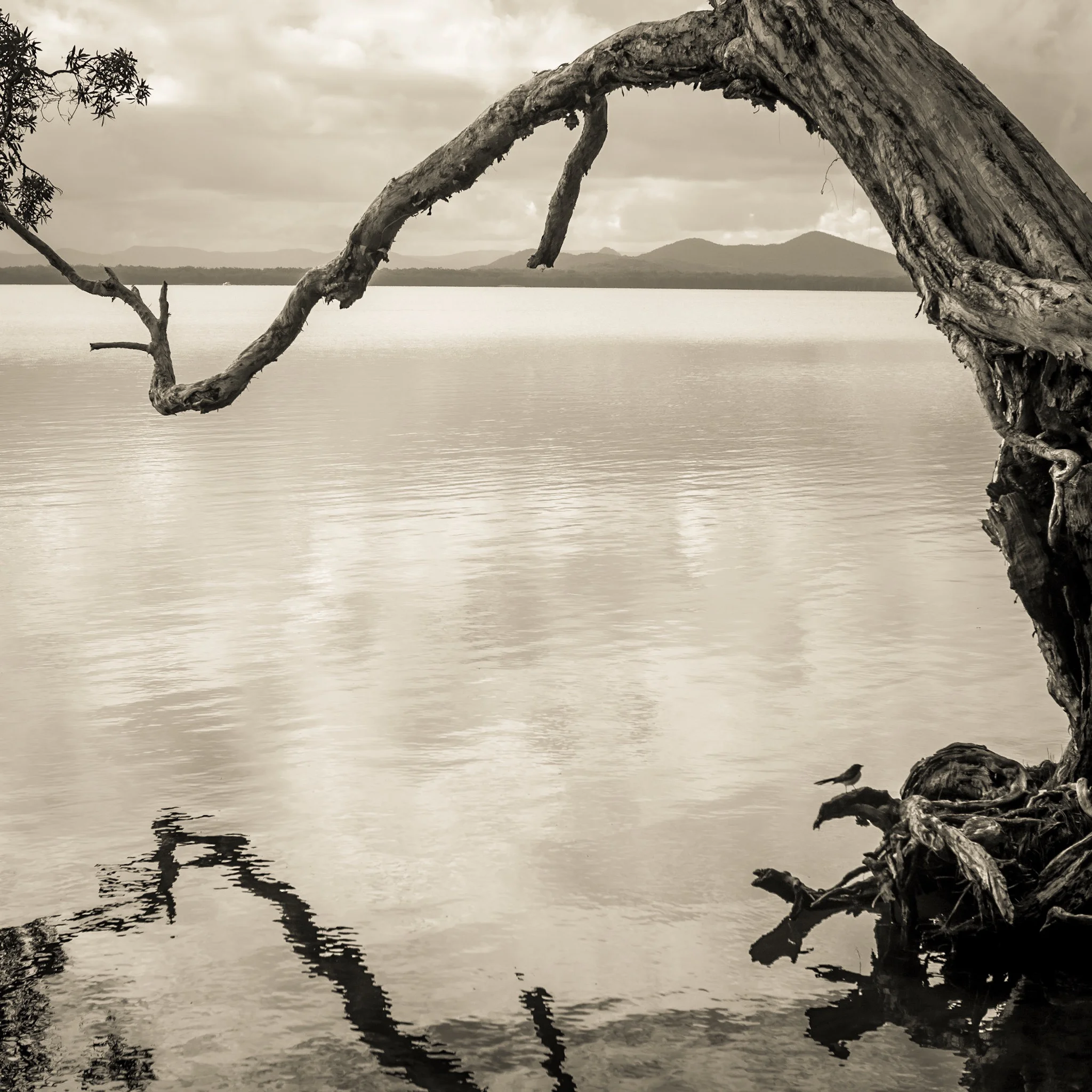      

 
    “The trouble is, you think you have time”    — Jack Kornfield 
 






















    










































  

    
  
     

      

      
         
          
        
        

        
          
         