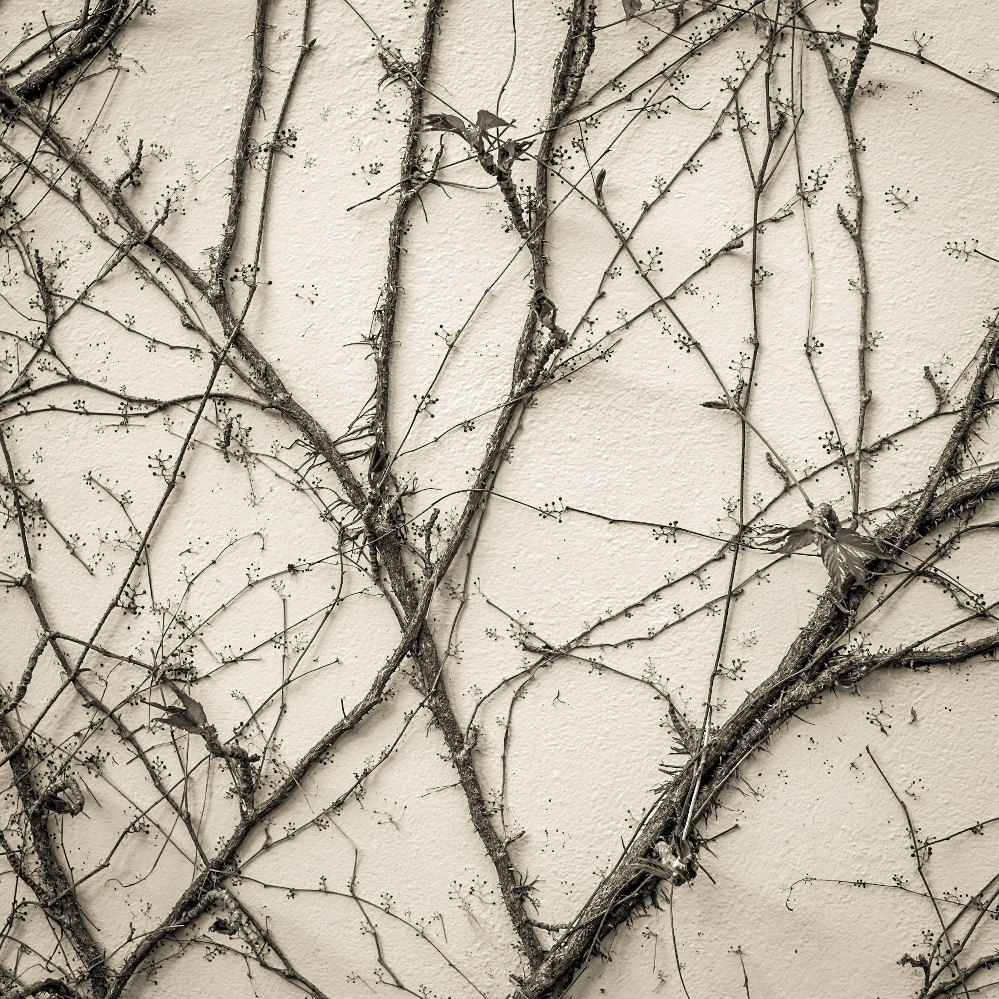      

 
   "Creativity is the defeat of habit by originality."   ~ Arthur Koestler 
 






















    










































  

    
  
     

      

      
         
          
        
        

        
          
