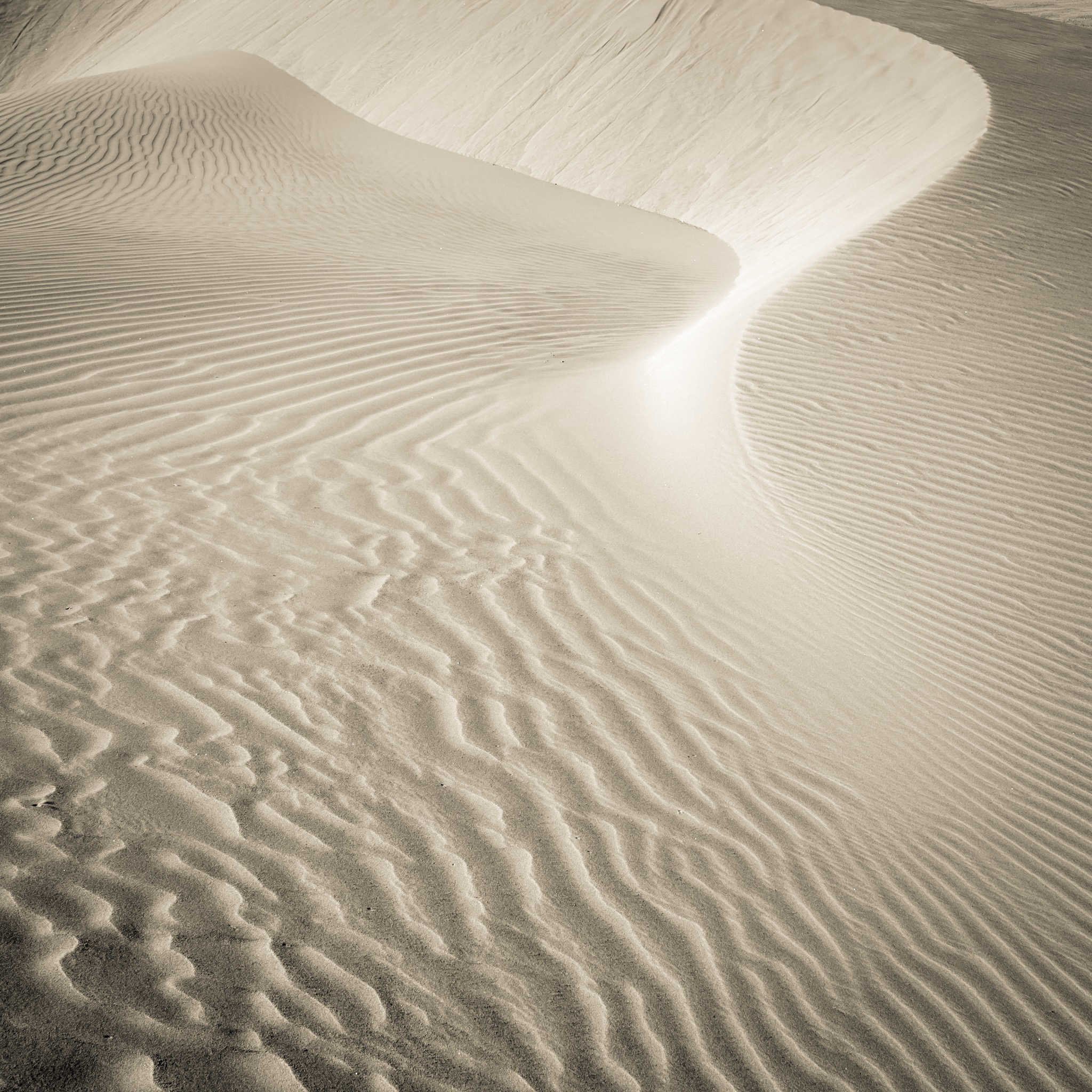 Namibian Sands