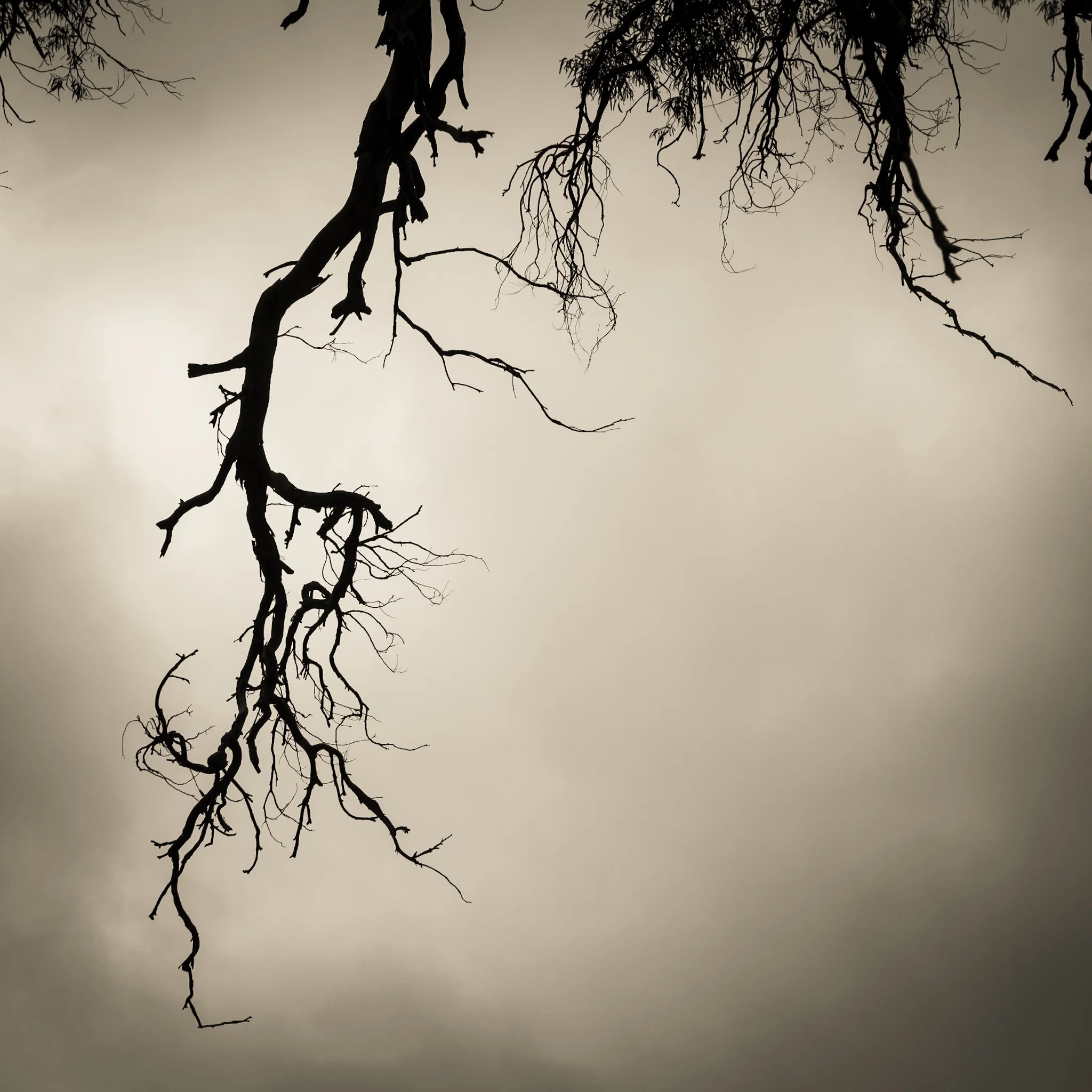 The Spirit of Endurance 