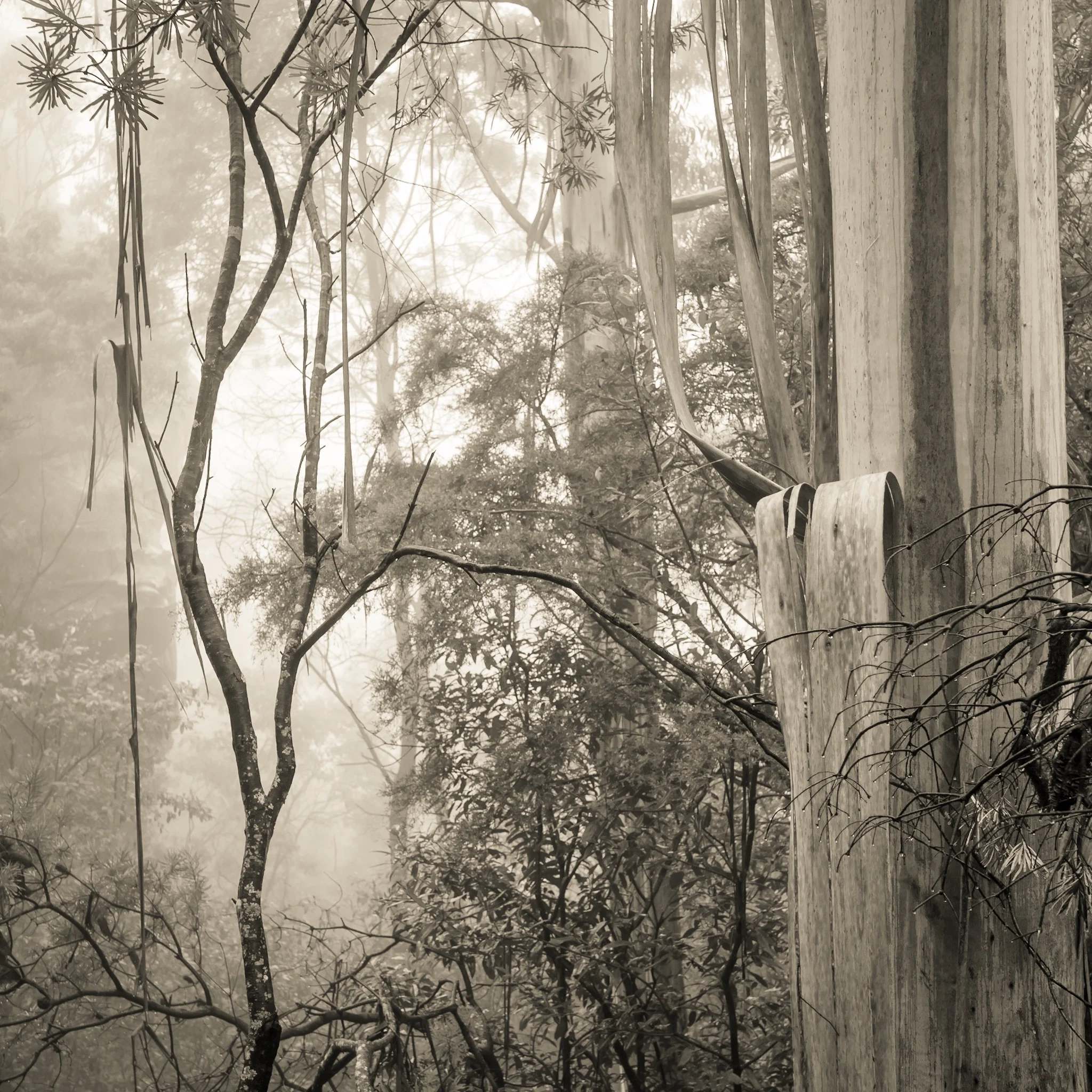 Concentrate on the Positive 