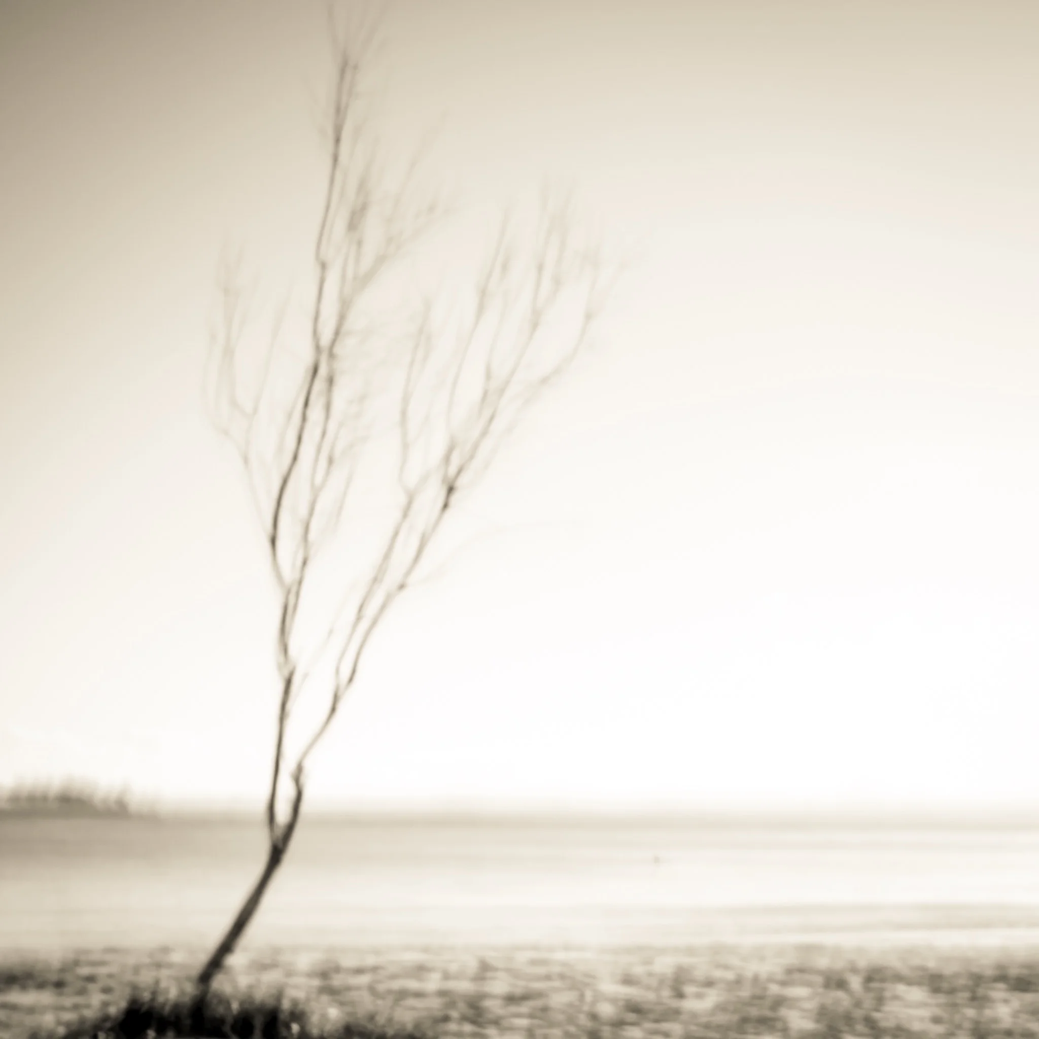 What’s so special about monochrome?